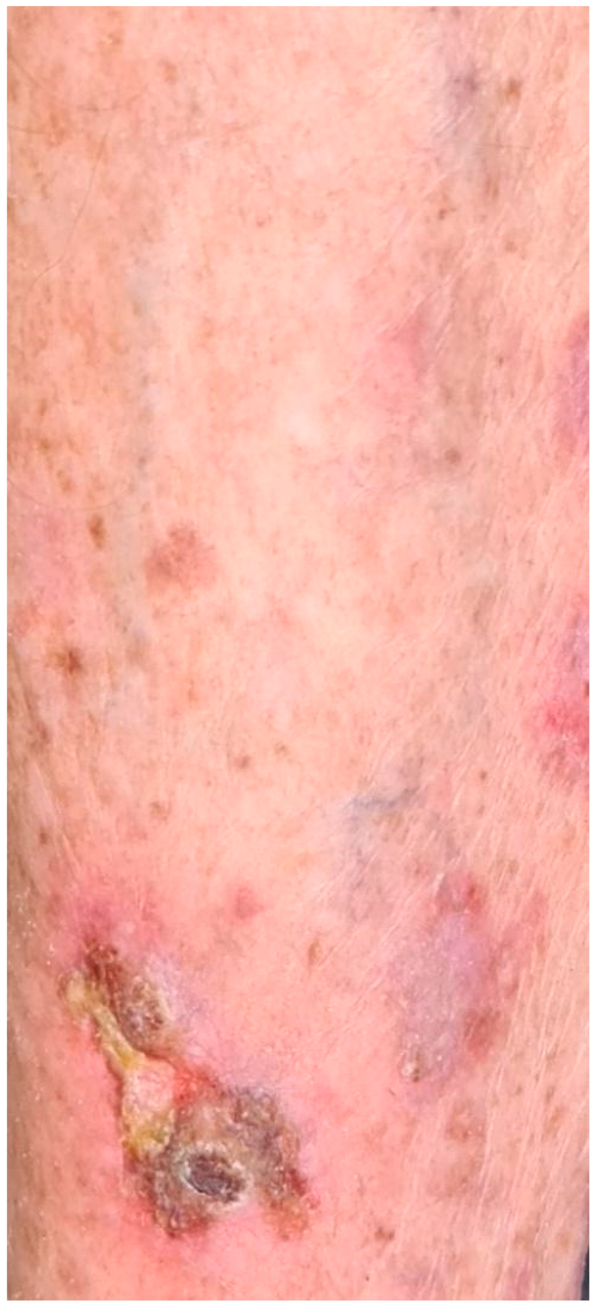 Applsci 12 12994 g009 Applsci 12 12994 g009