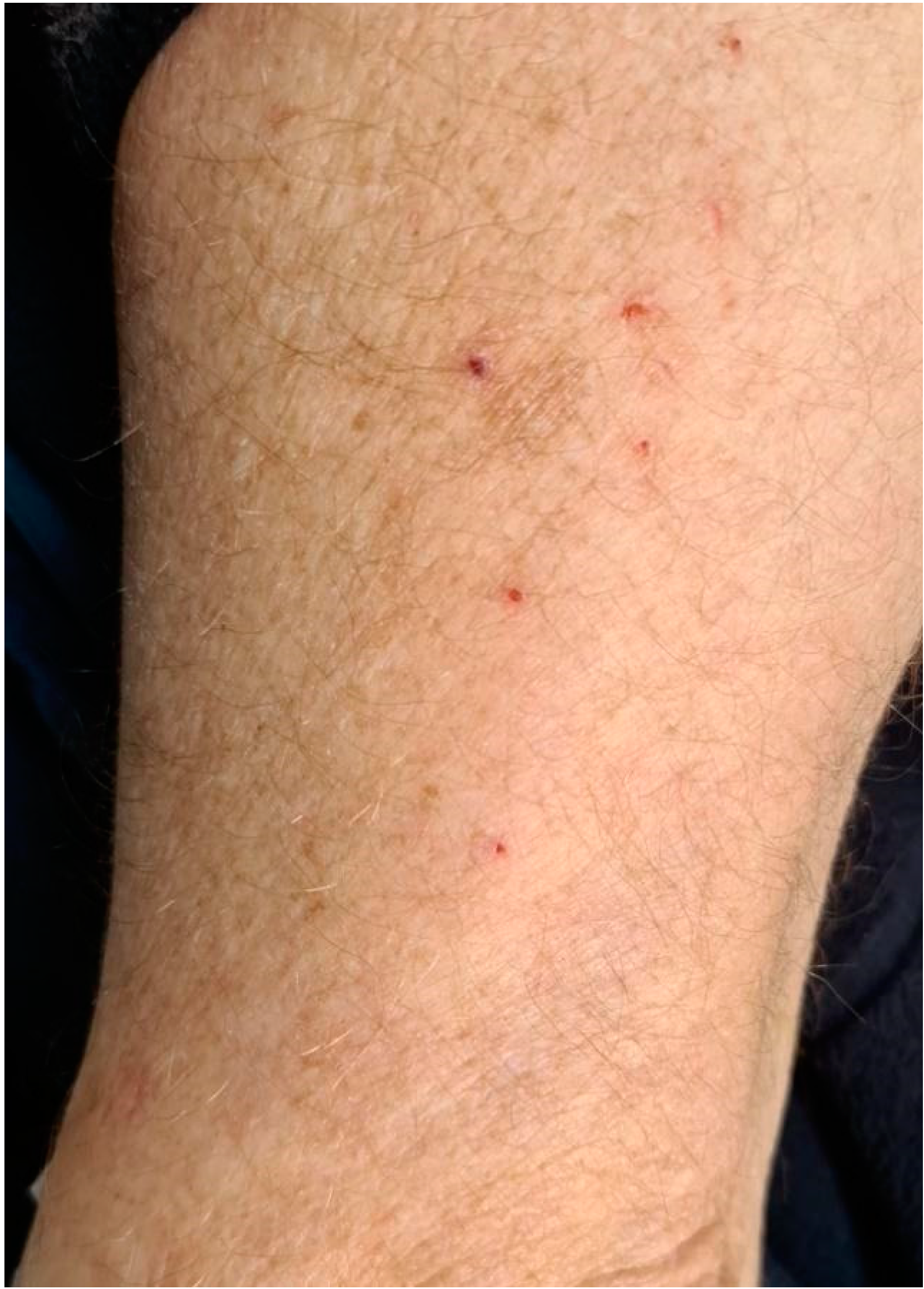 Applsci 12 12994 g010 Applsci 12 12994 g010