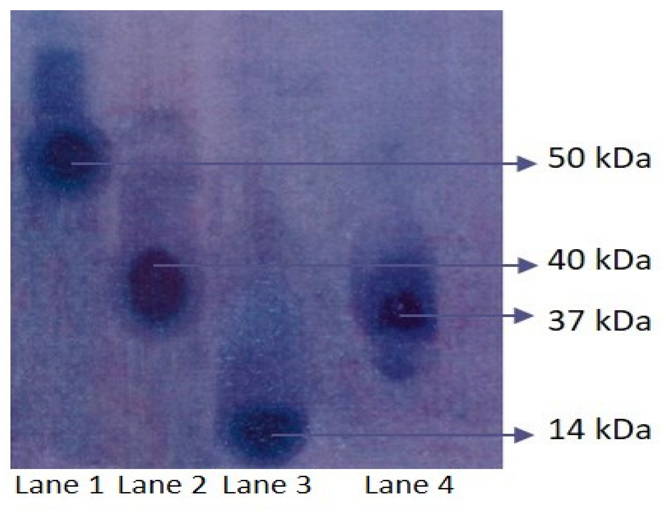 Applsci 12 13010 g002 Applsci 12 13010 g002