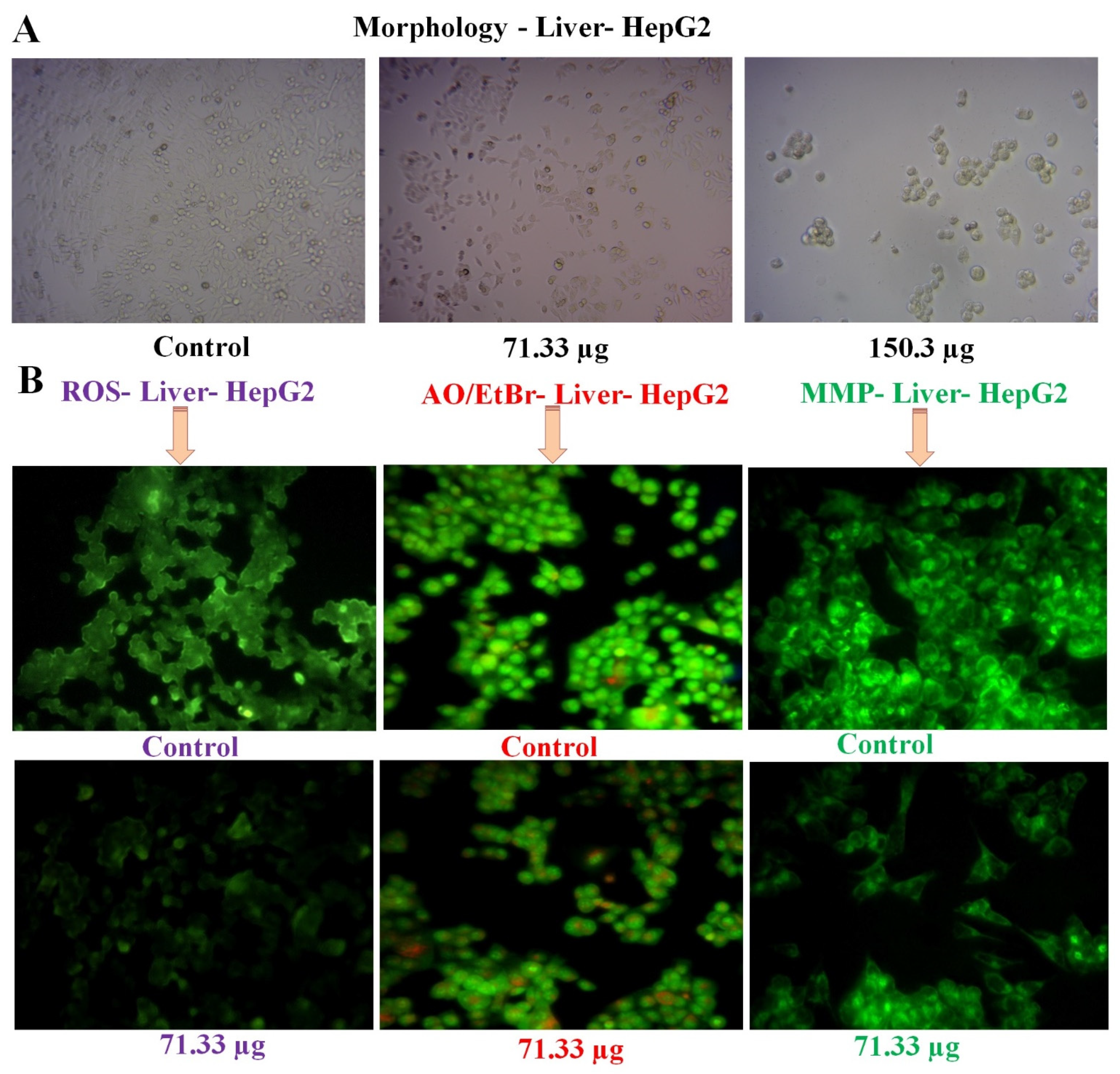 Applsci 12 13010 g010 Applsci 12 13010 g010