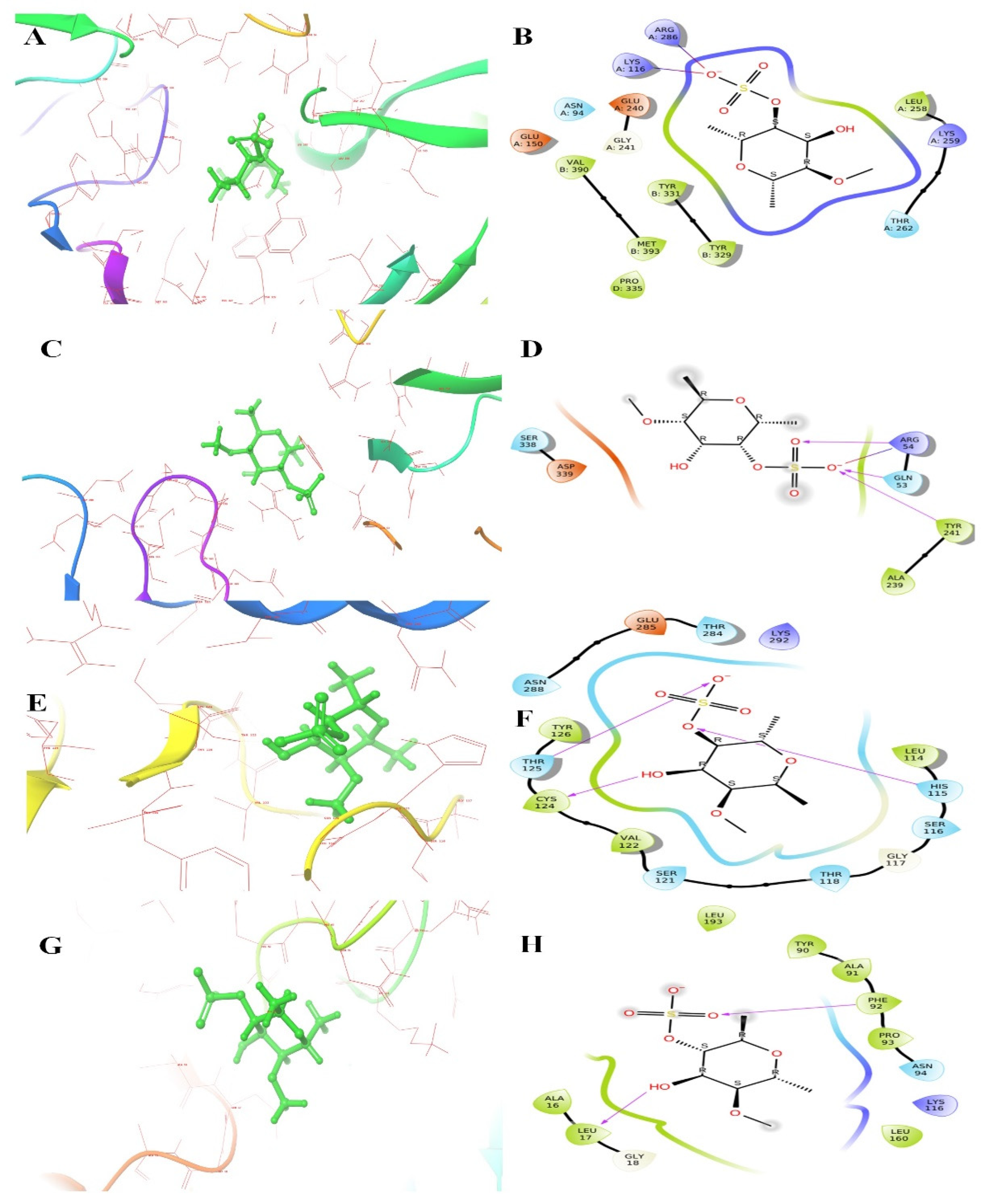 Applsci 12 13010 g012 Applsci 12 13010 g012