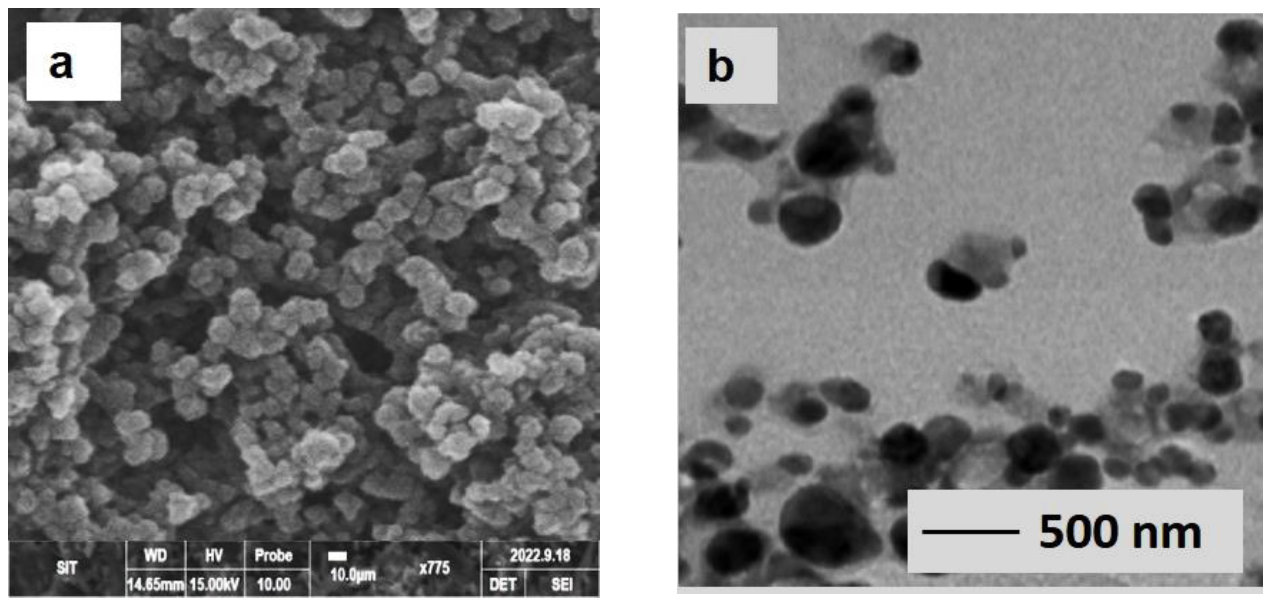 Applsci 12 13030 g004 Applsci 12 13030 g004