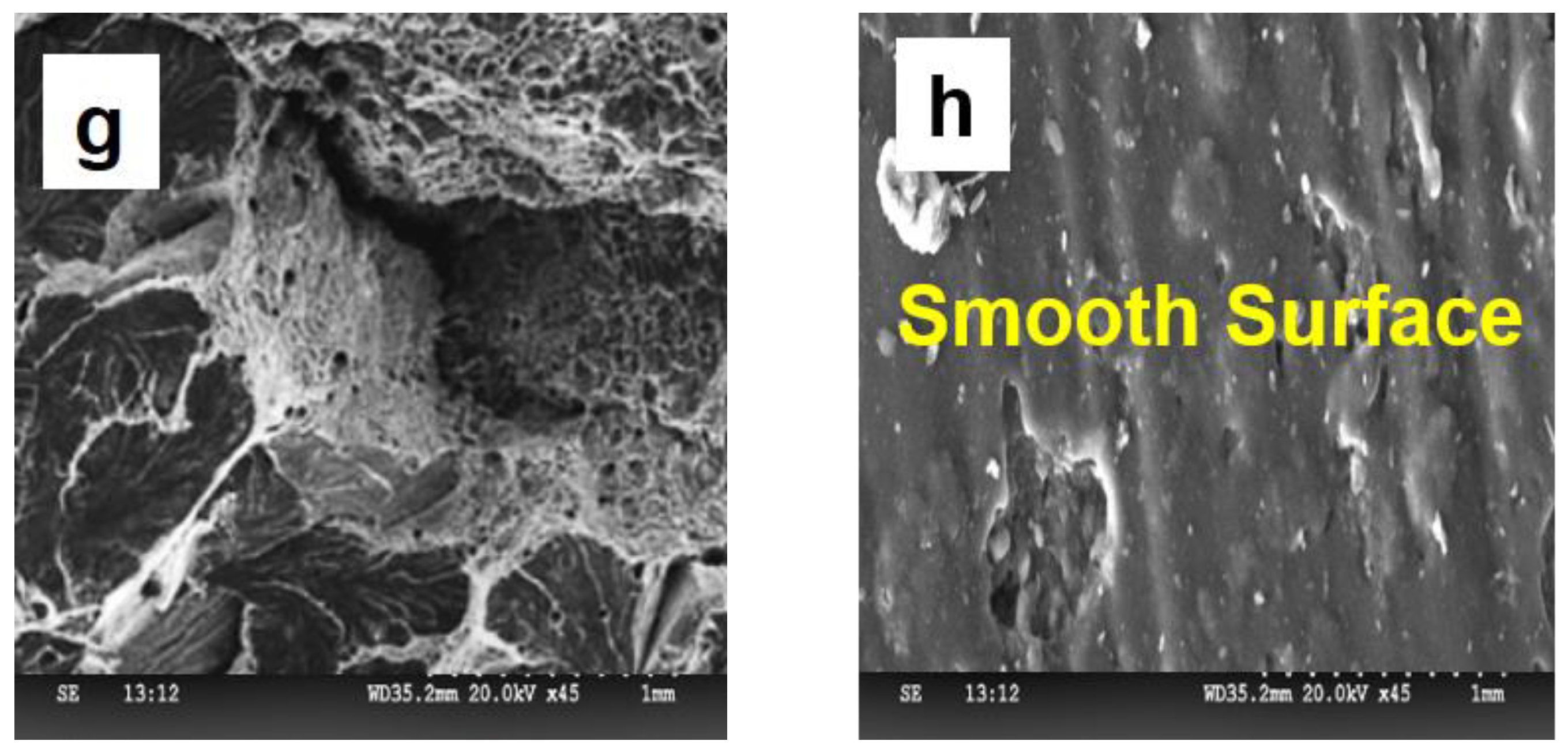 Applsci 12 13030 g014b Applsci 12 13030 g014b