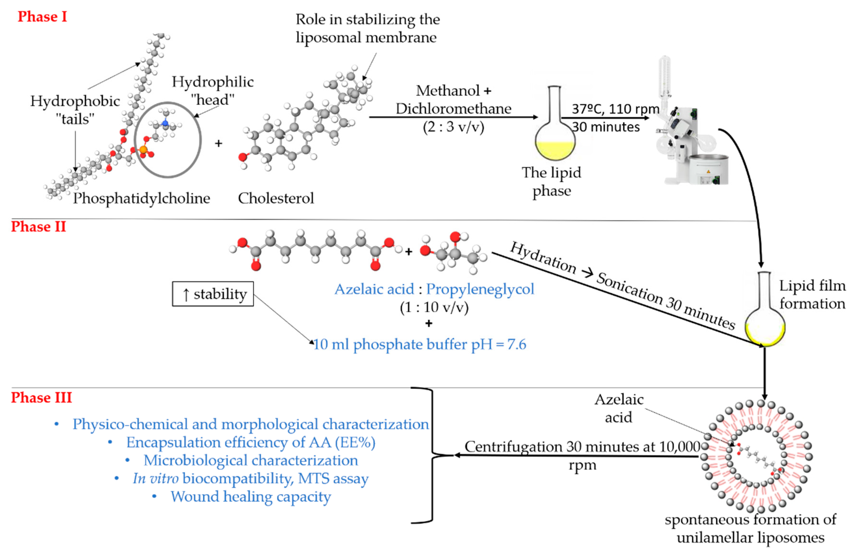 Applsci 12 13039 g001 Applsci 12 13039 g001