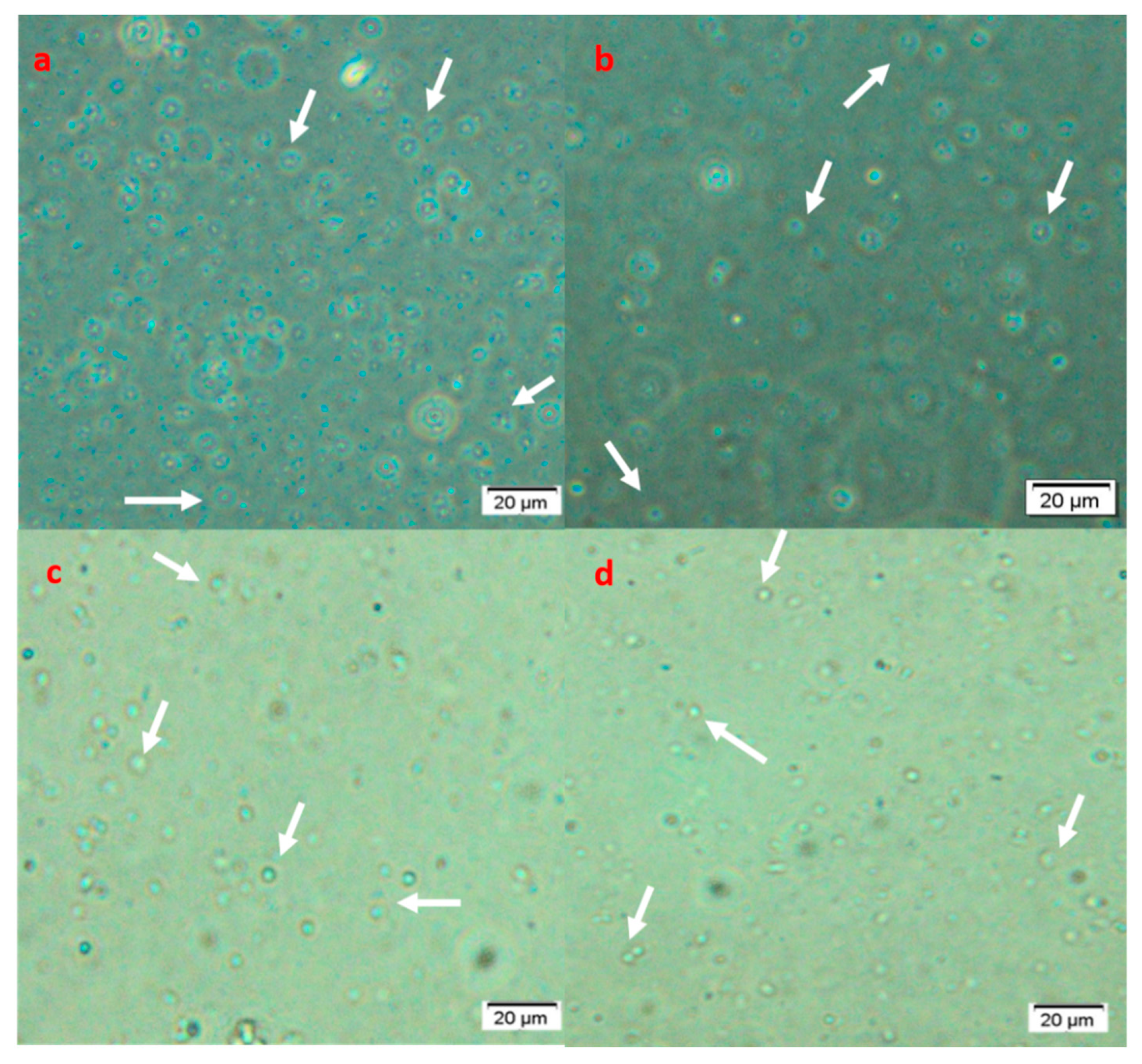 Applsci 12 13039 g003 Applsci 12 13039 g003