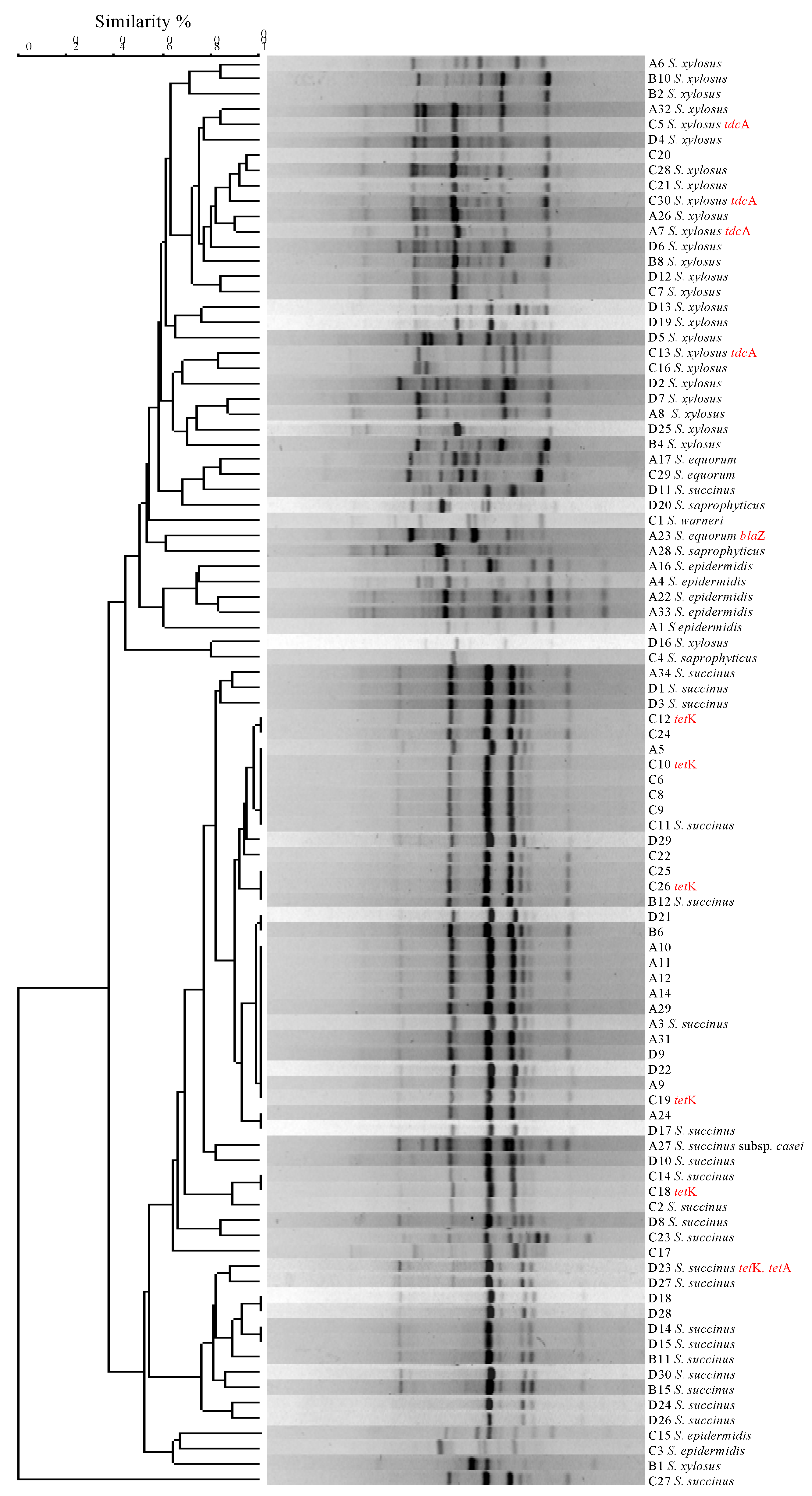 Applsci 12 13042 g002 Applsci 12 13042 g002