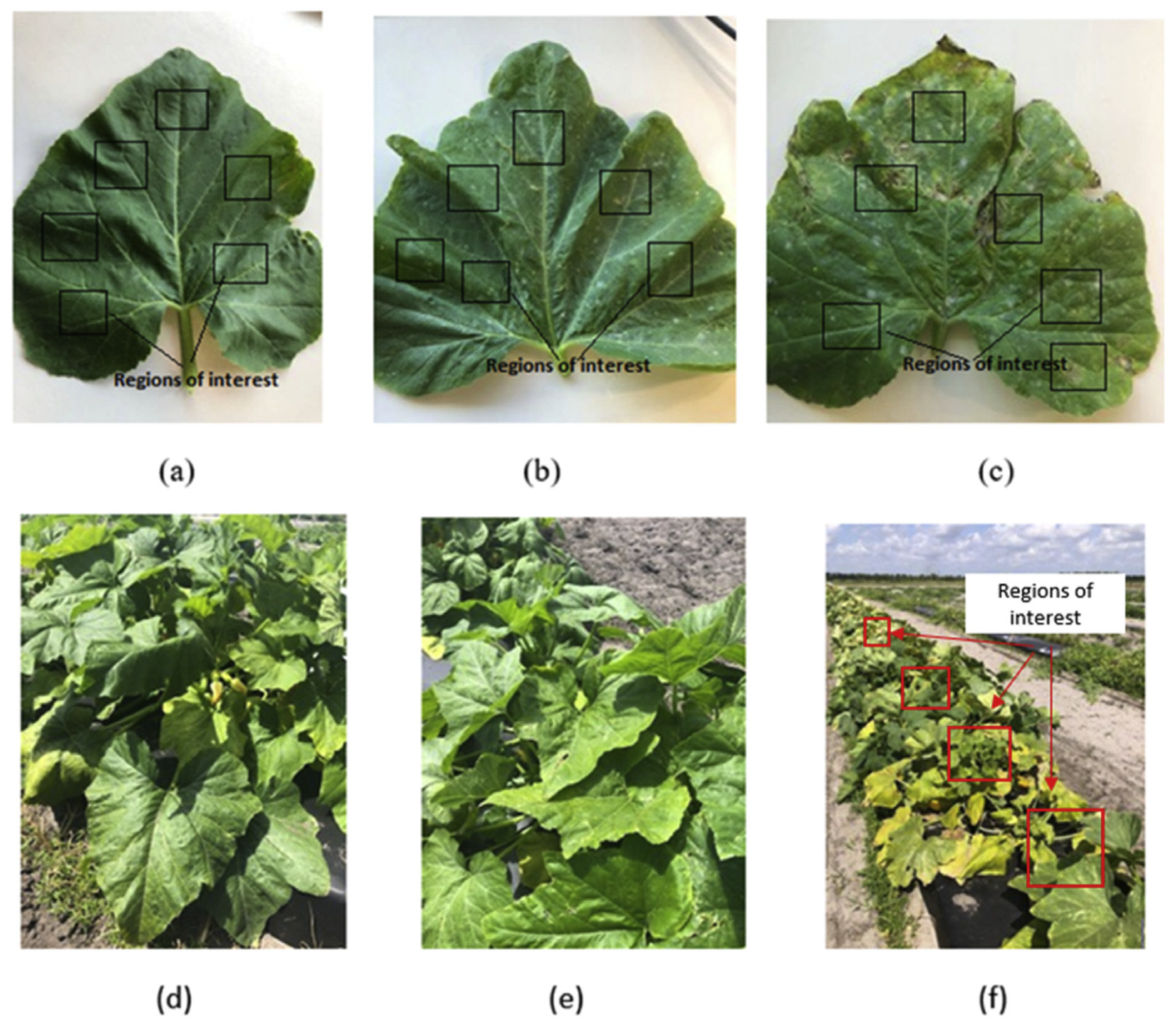 Applsci 13 00014 g004 Applsci 13 00014 g004