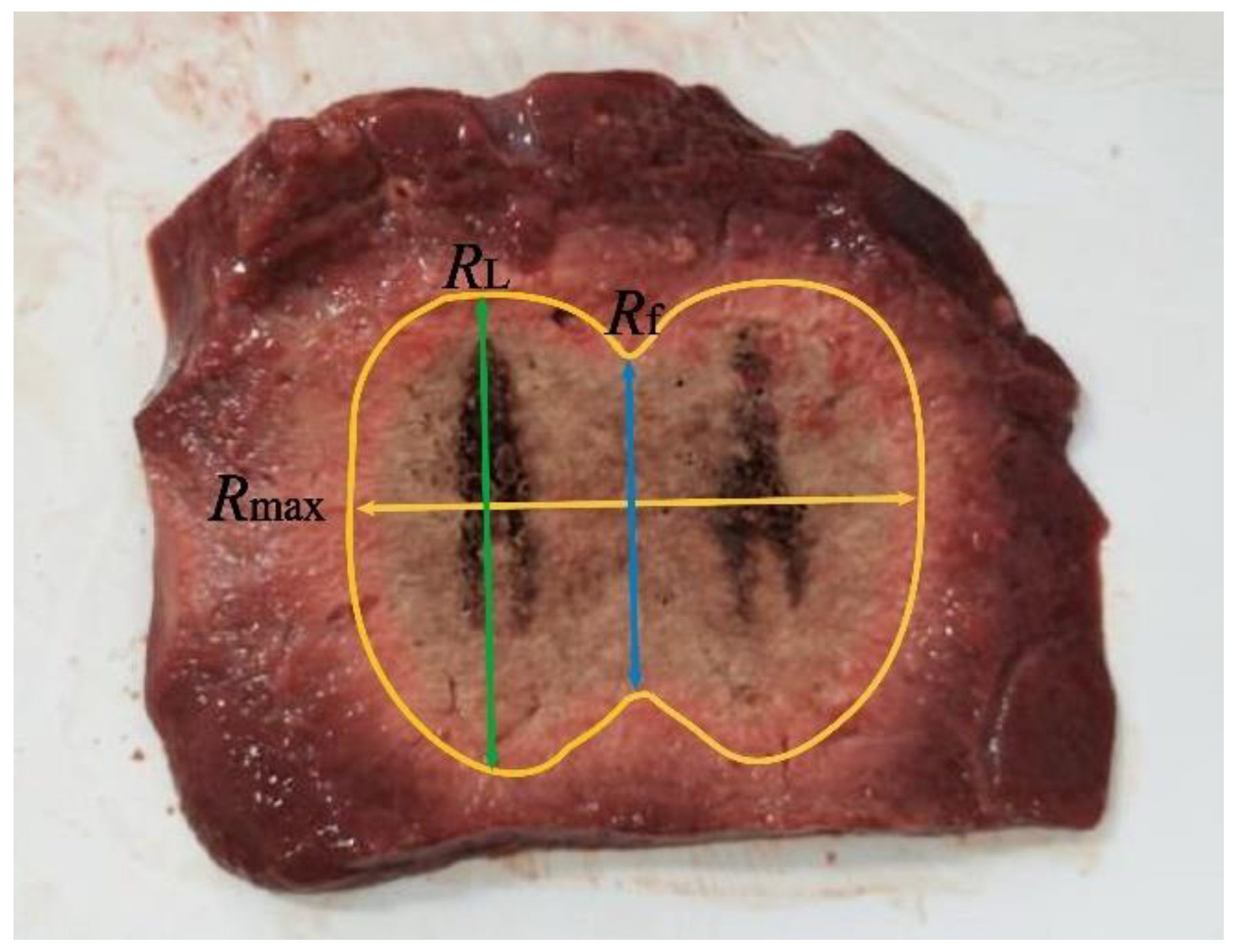 Applsci 13 00026 g003 Applsci 13 00026 g003