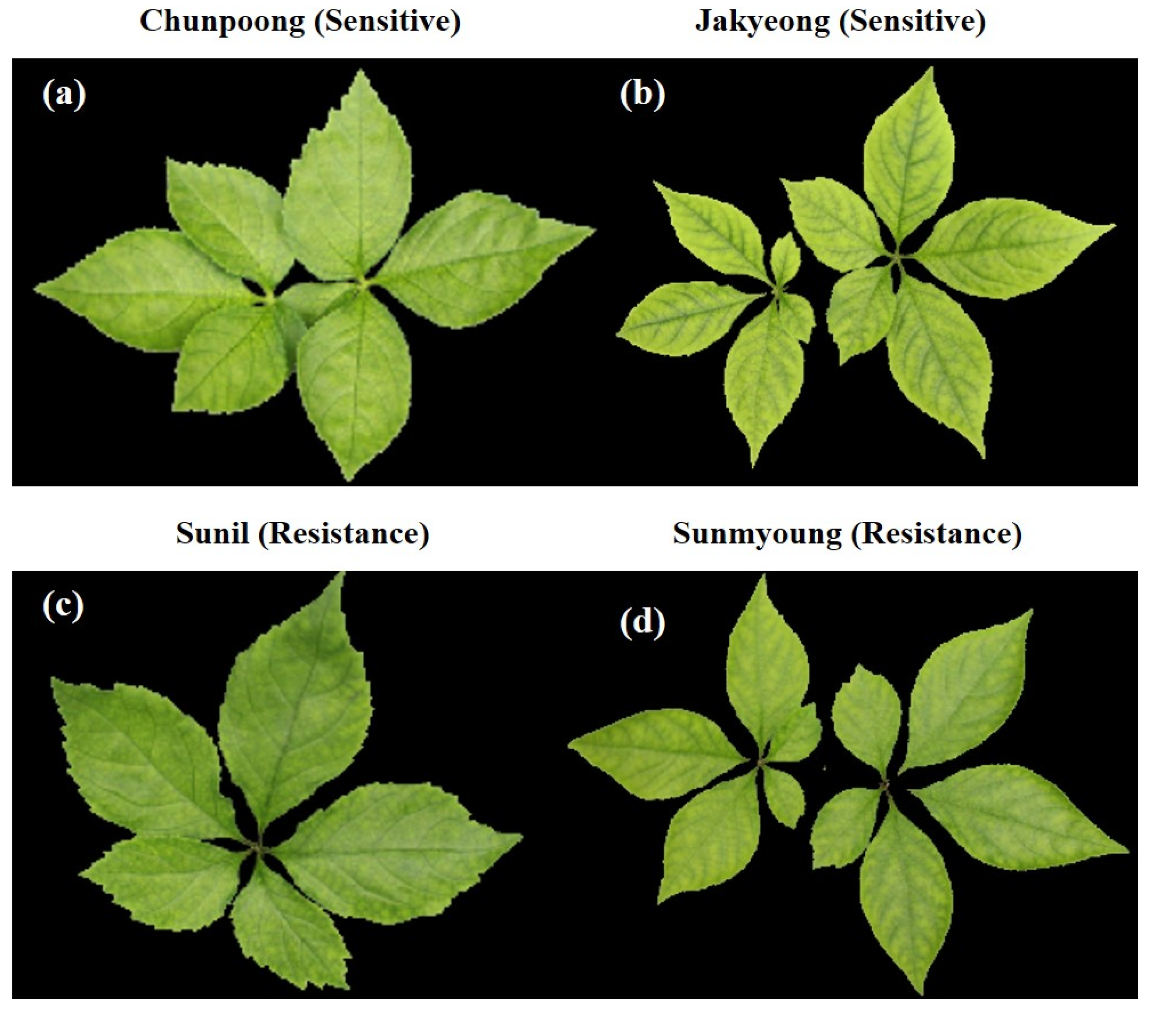 Applsci 13 00031 g001 Applsci 13 00031 g001