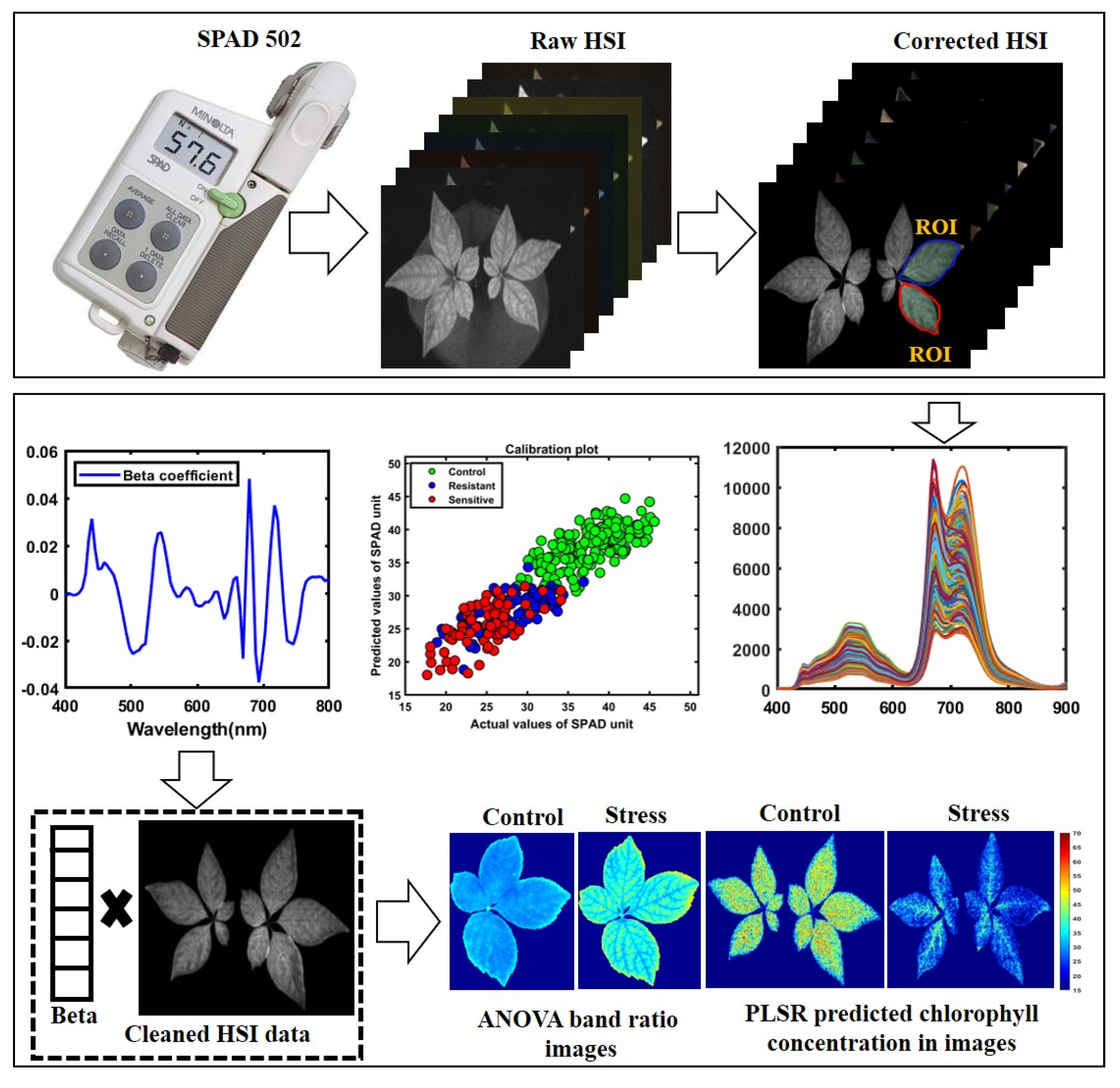 Applsci 13 00031 g003 Applsci 13 00031 g003
