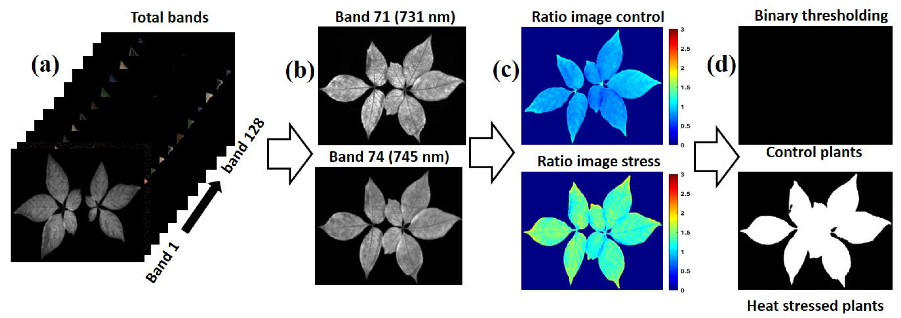 Applsci 13 00031 g005 Applsci 13 00031 g005