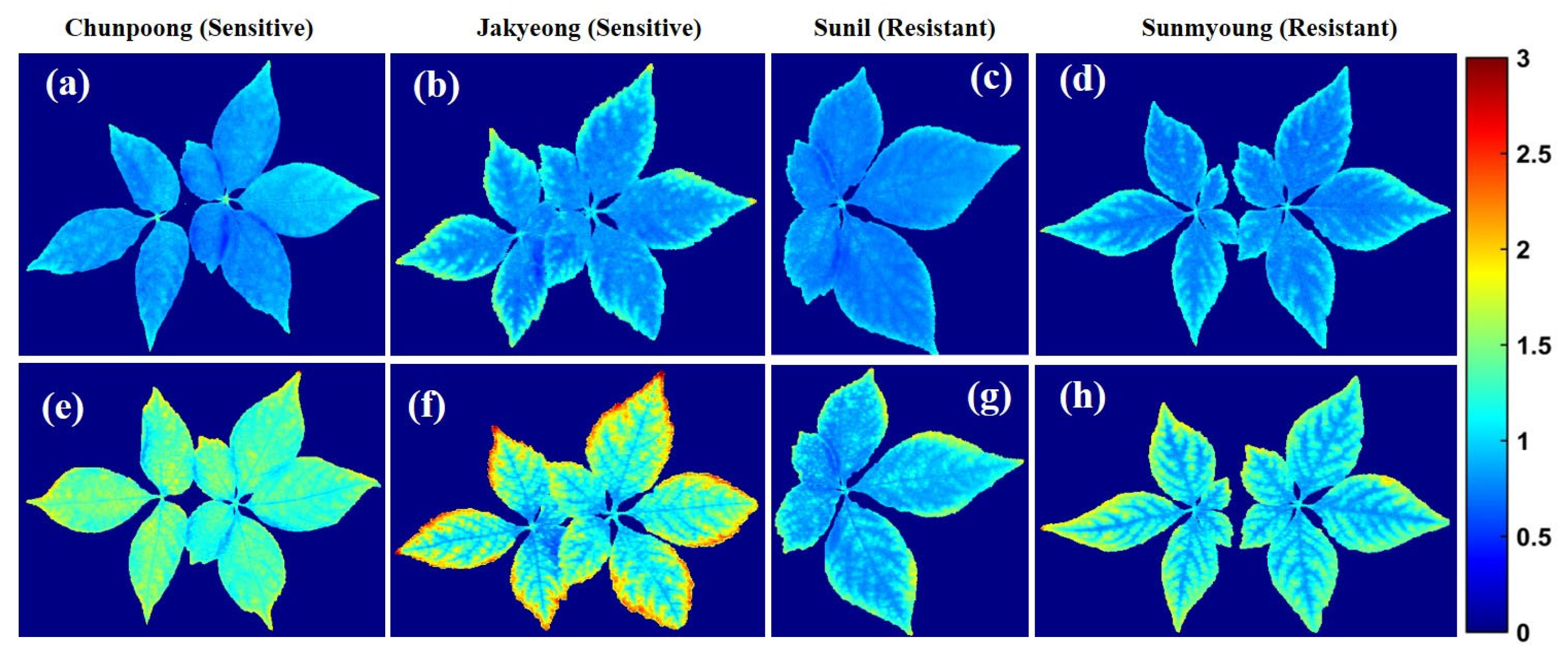 Applsci 13 00031 g009 Applsci 13 00031 g009