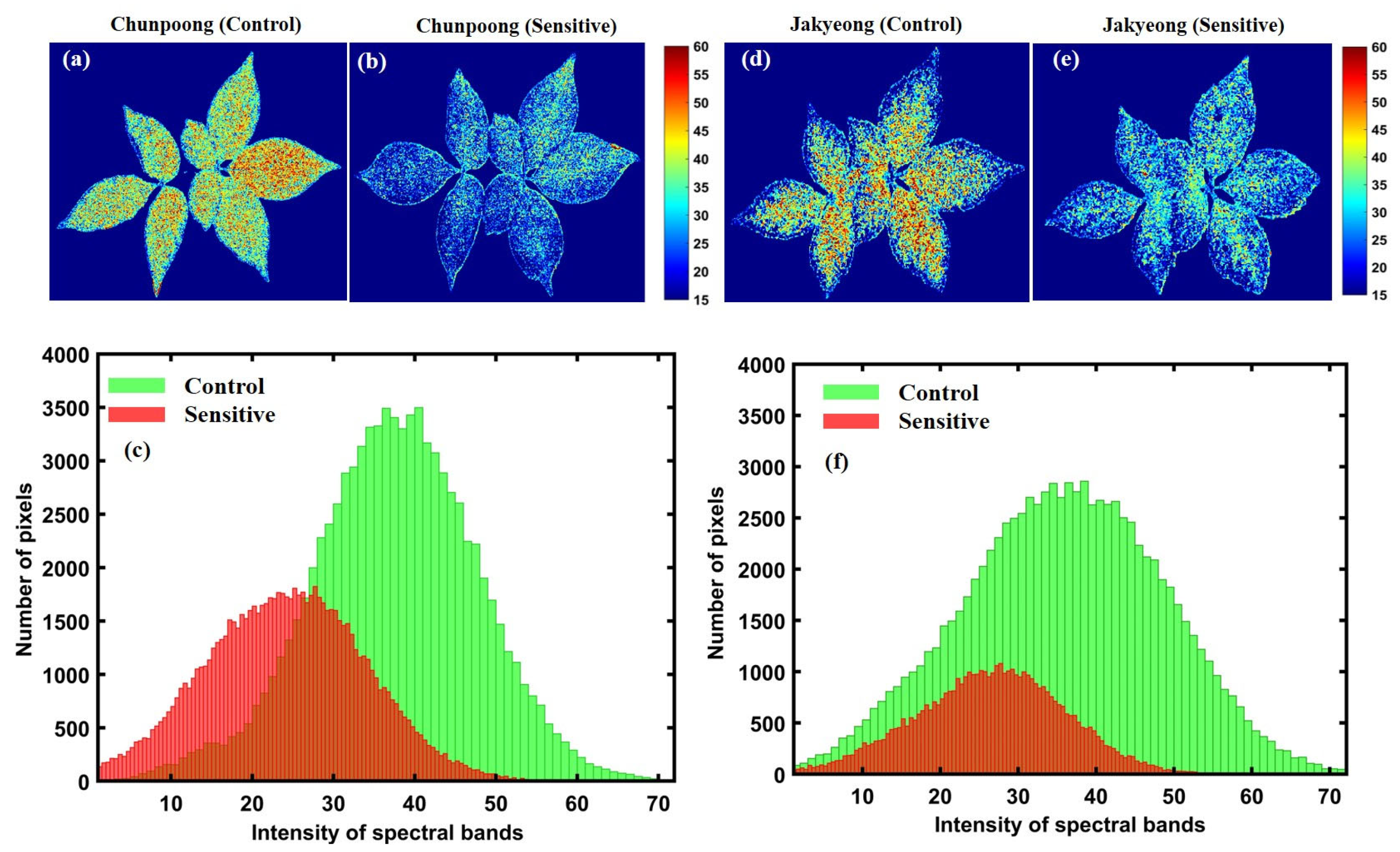 Applsci 13 00031 g012 Applsci 13 00031 g012