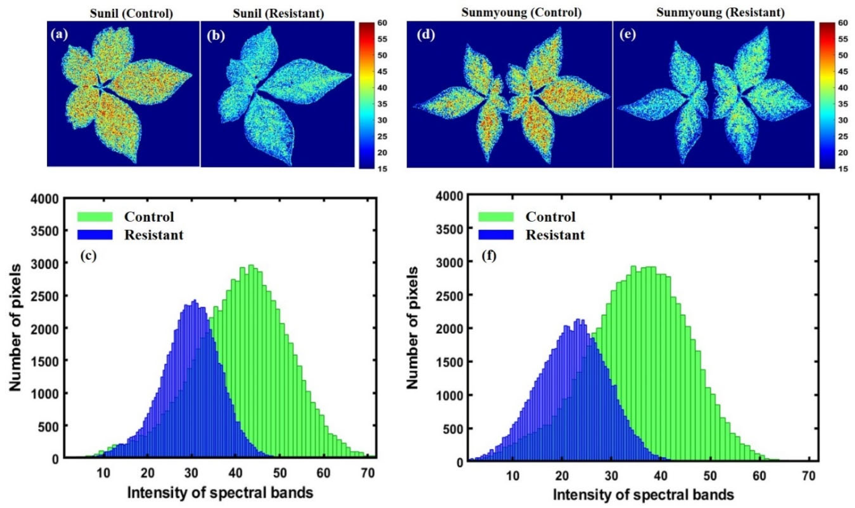 Applsci 13 00031 g013 Applsci 13 00031 g013