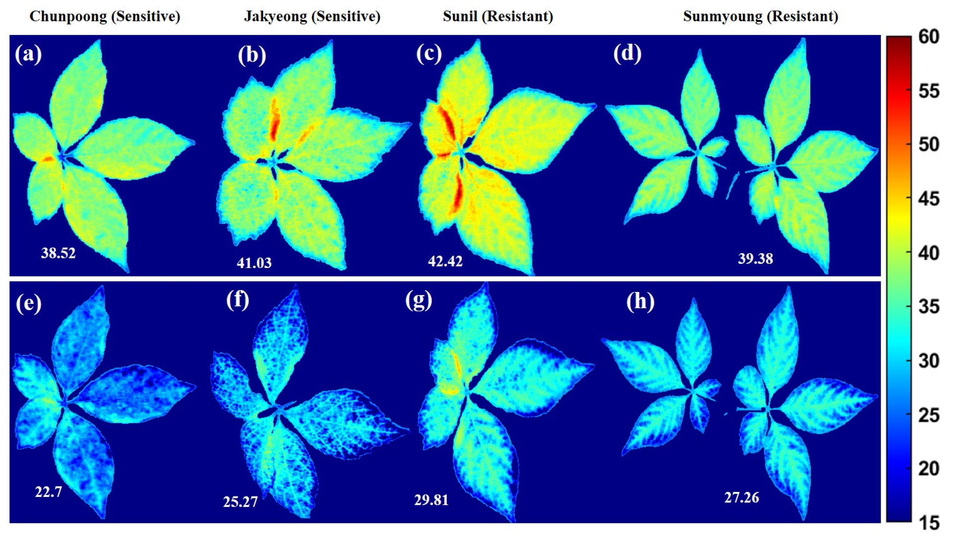 Applsci 13 00031 g014 Applsci 13 00031 g014