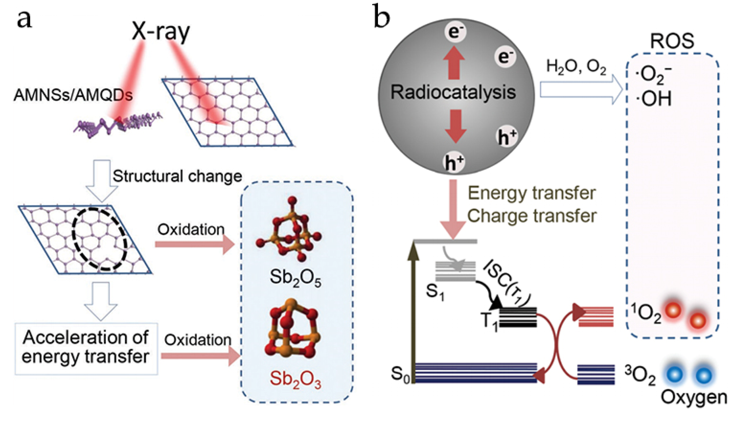 Applsci 13 00035 g014 Applsci 13 00035 g014