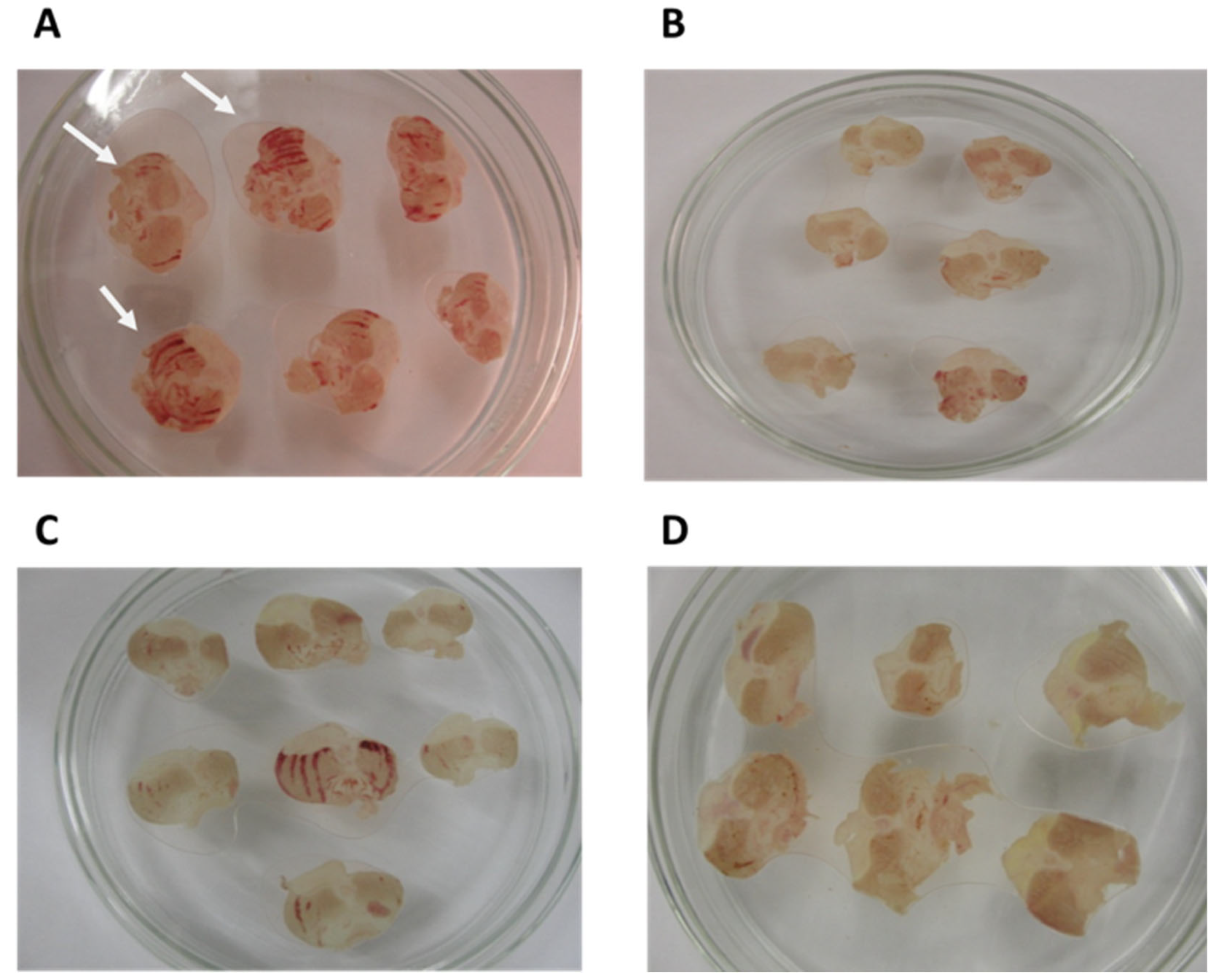 Applsci 13 00058 g006