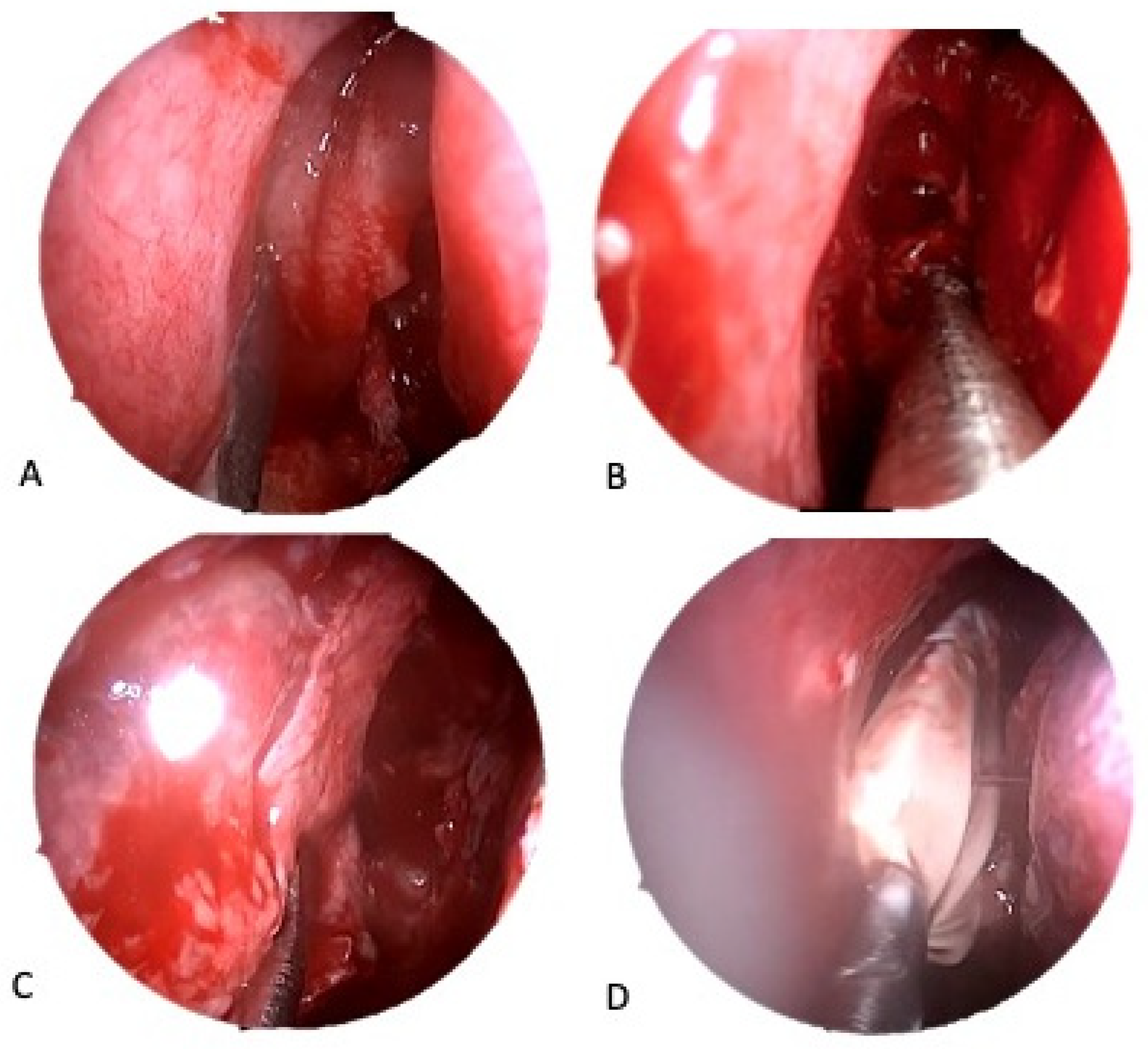 Applsci 13 00098 g001