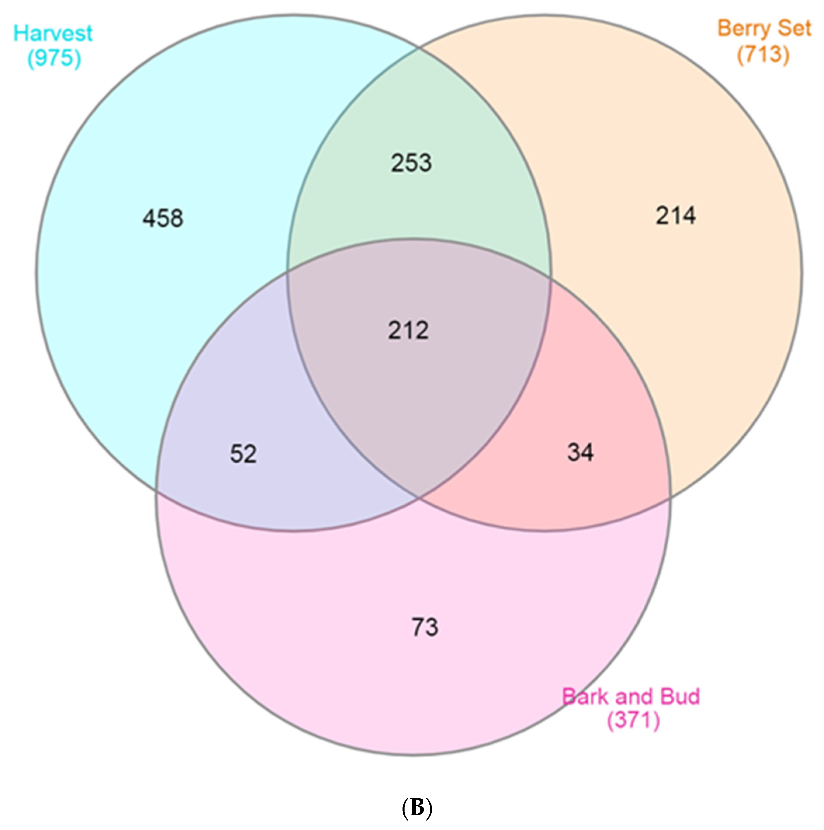 Applsci 13 00102 g001b Applsci 13 00102 g001b