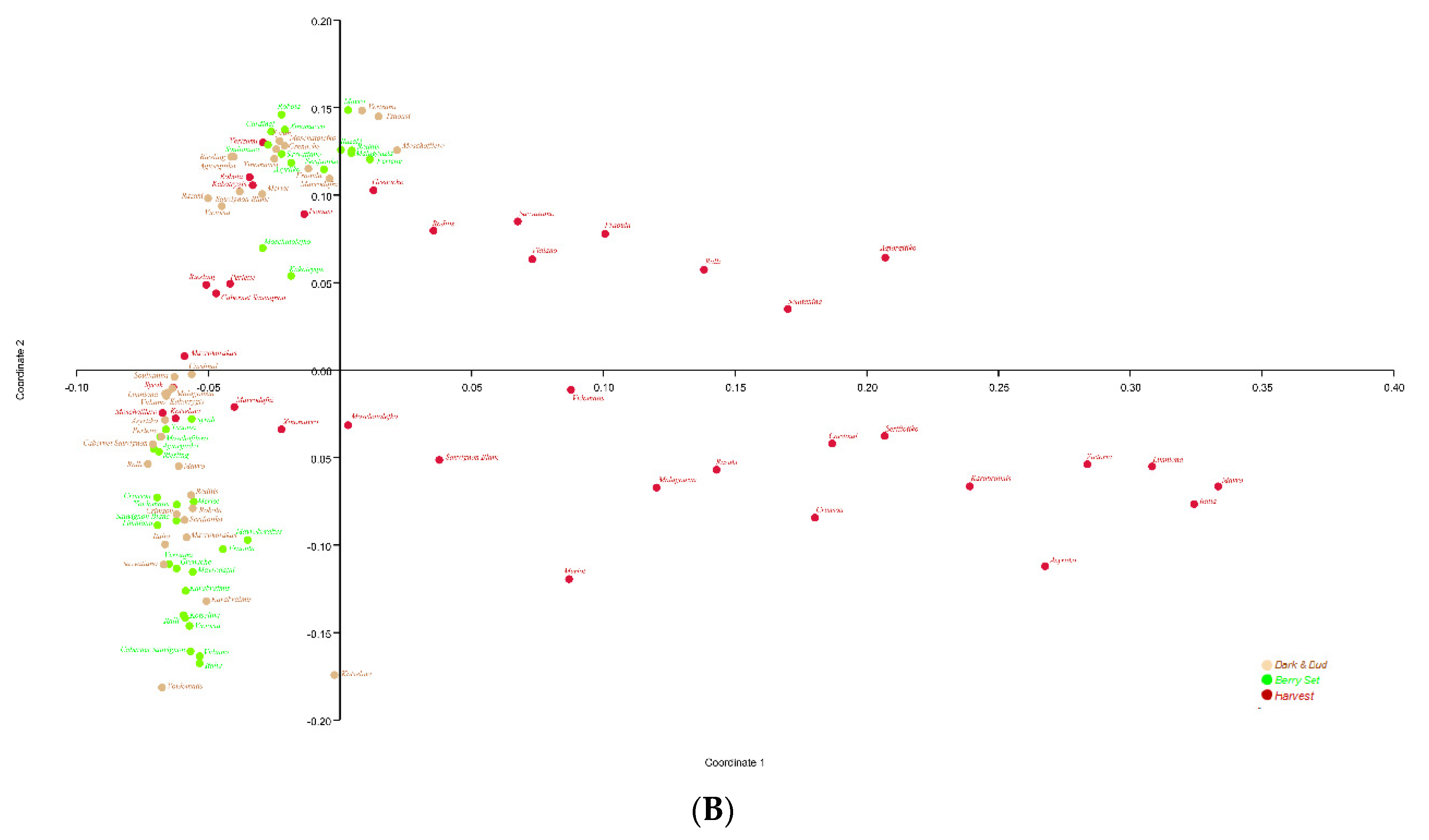 Applsci 13 00102 g003b Applsci 13 00102 g003b