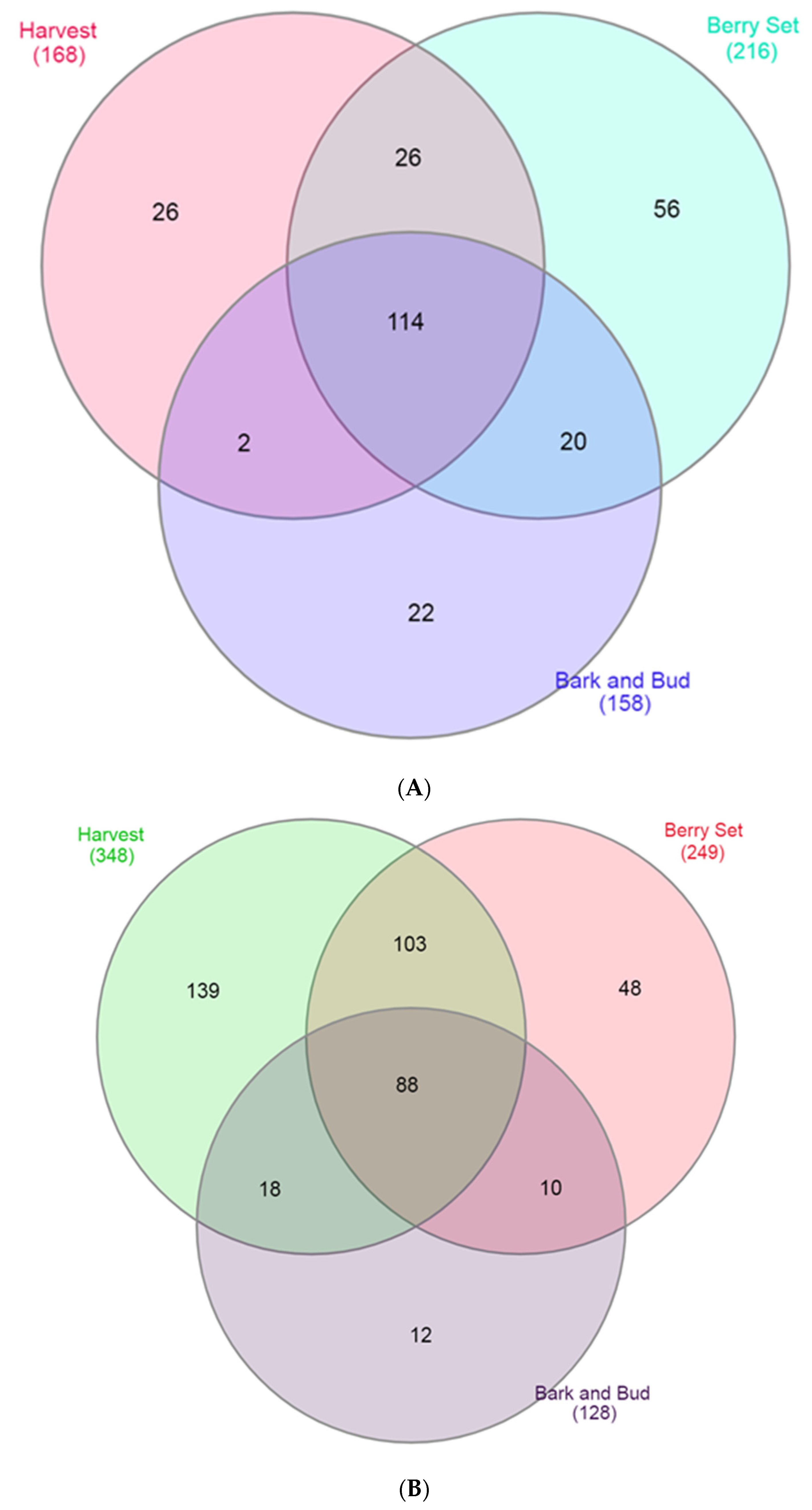 Applsci 13 00102 g004 Applsci 13 00102 g004