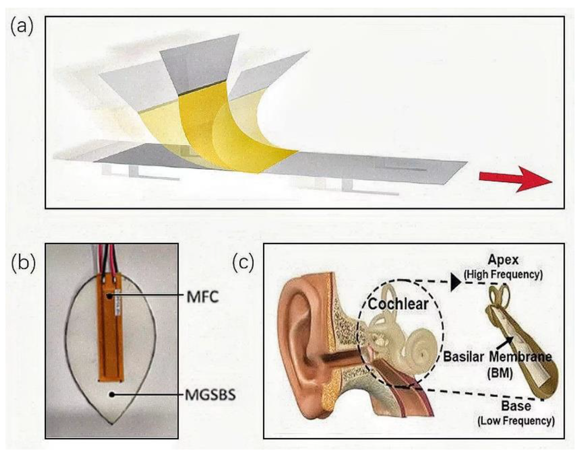 Applsci 13 00120 g005 Applsci 13 00120 g005