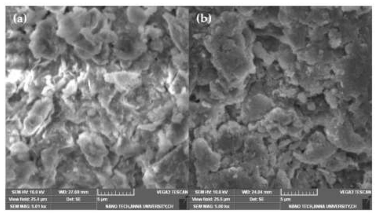 Applsci 13 00123 g008