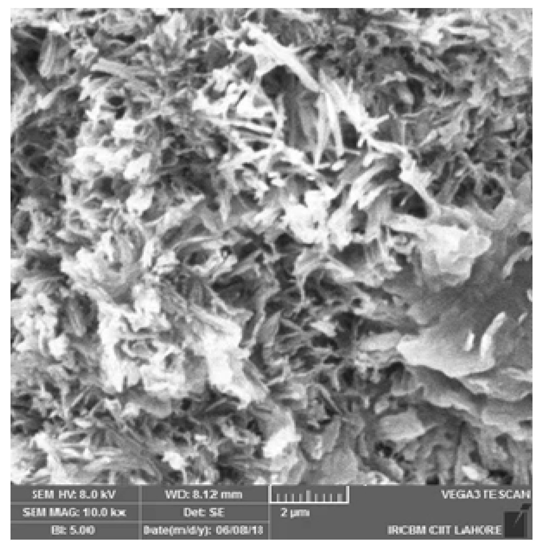 Applsci 13 00124 g010 Applsci 13 00124 g010