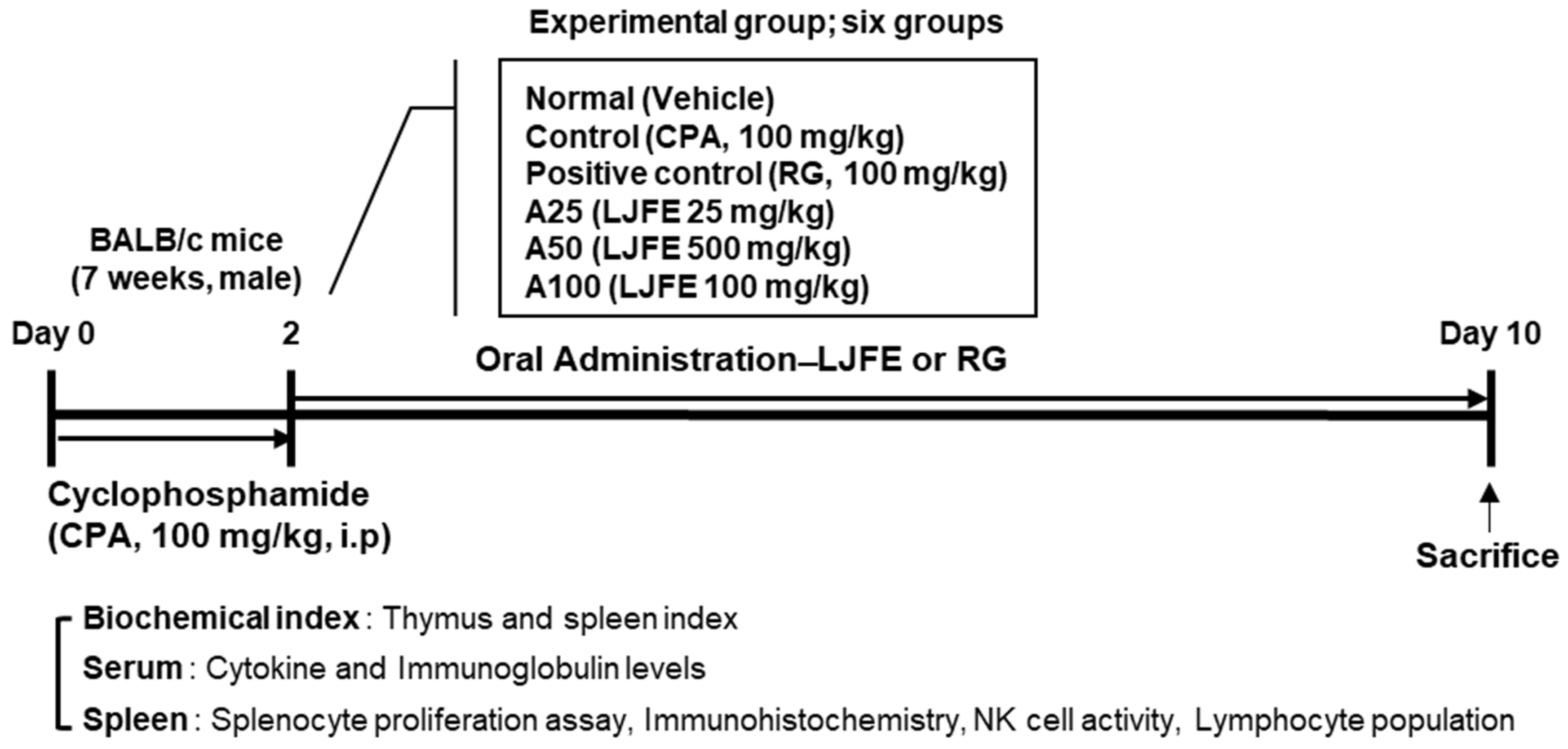 Applsci 13 00145 g001 Applsci 13 00145 g001