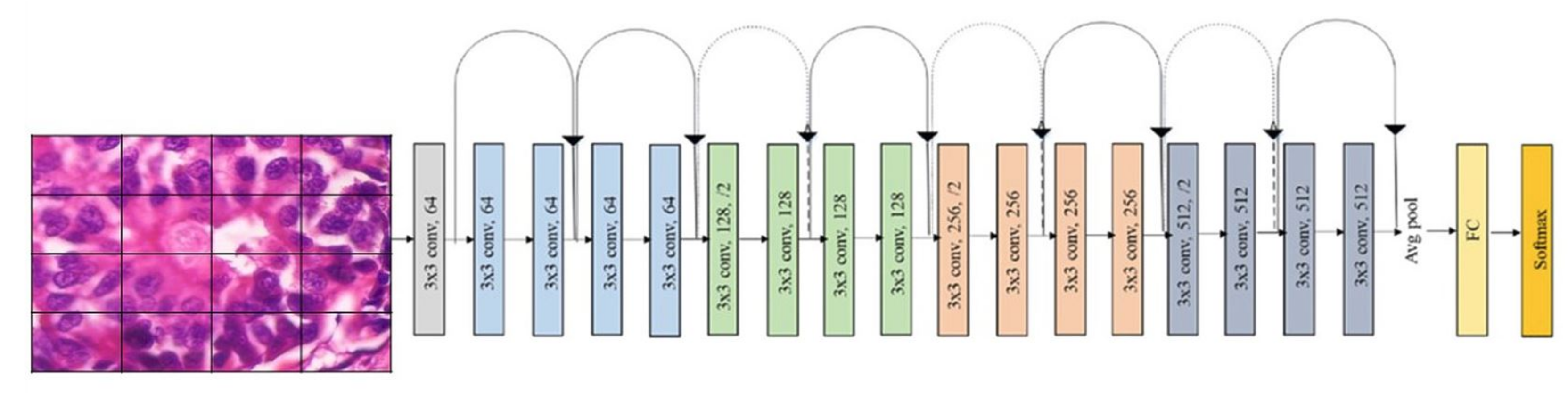 Applsci 13 00156 g005