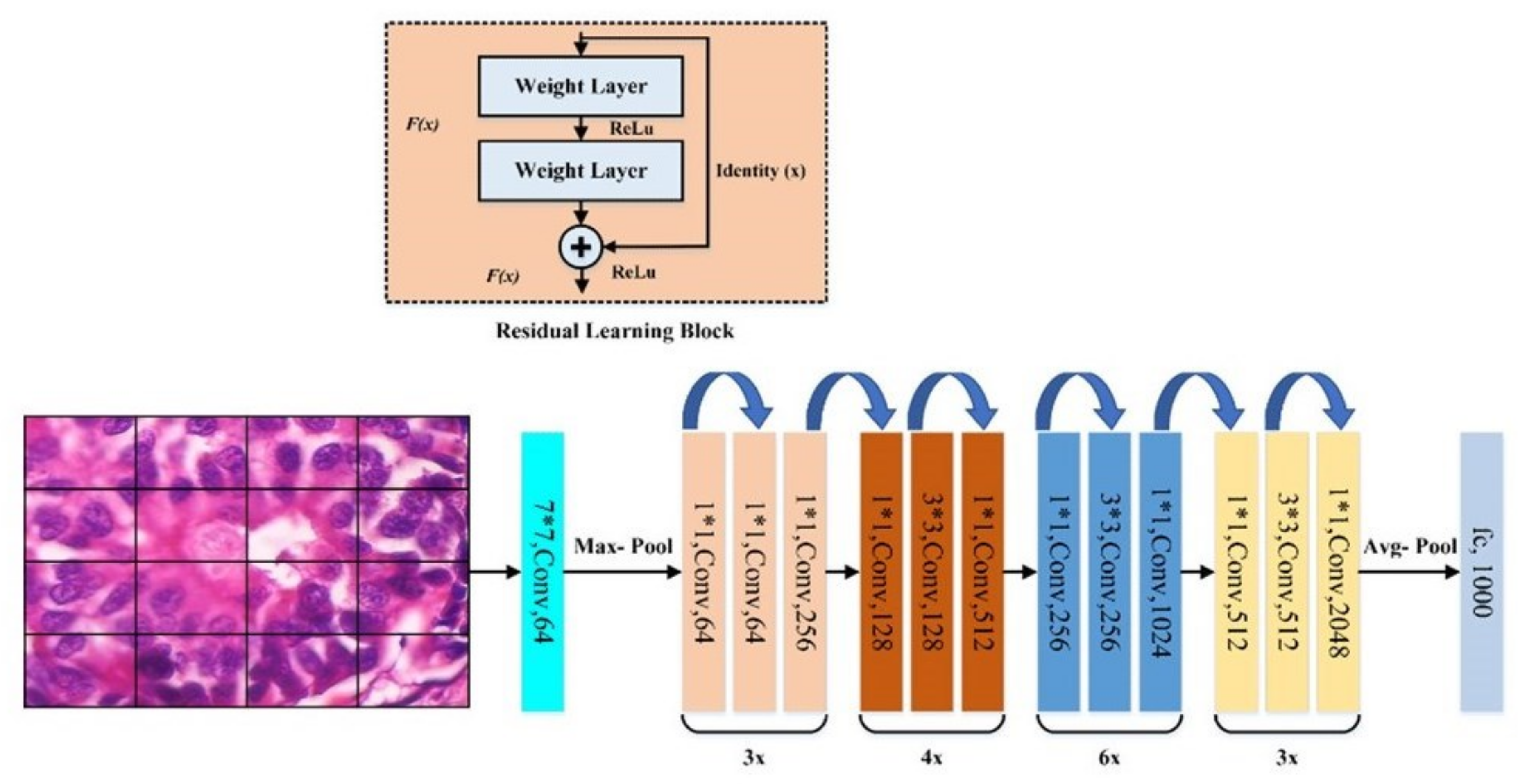 Applsci 13 00156 g008