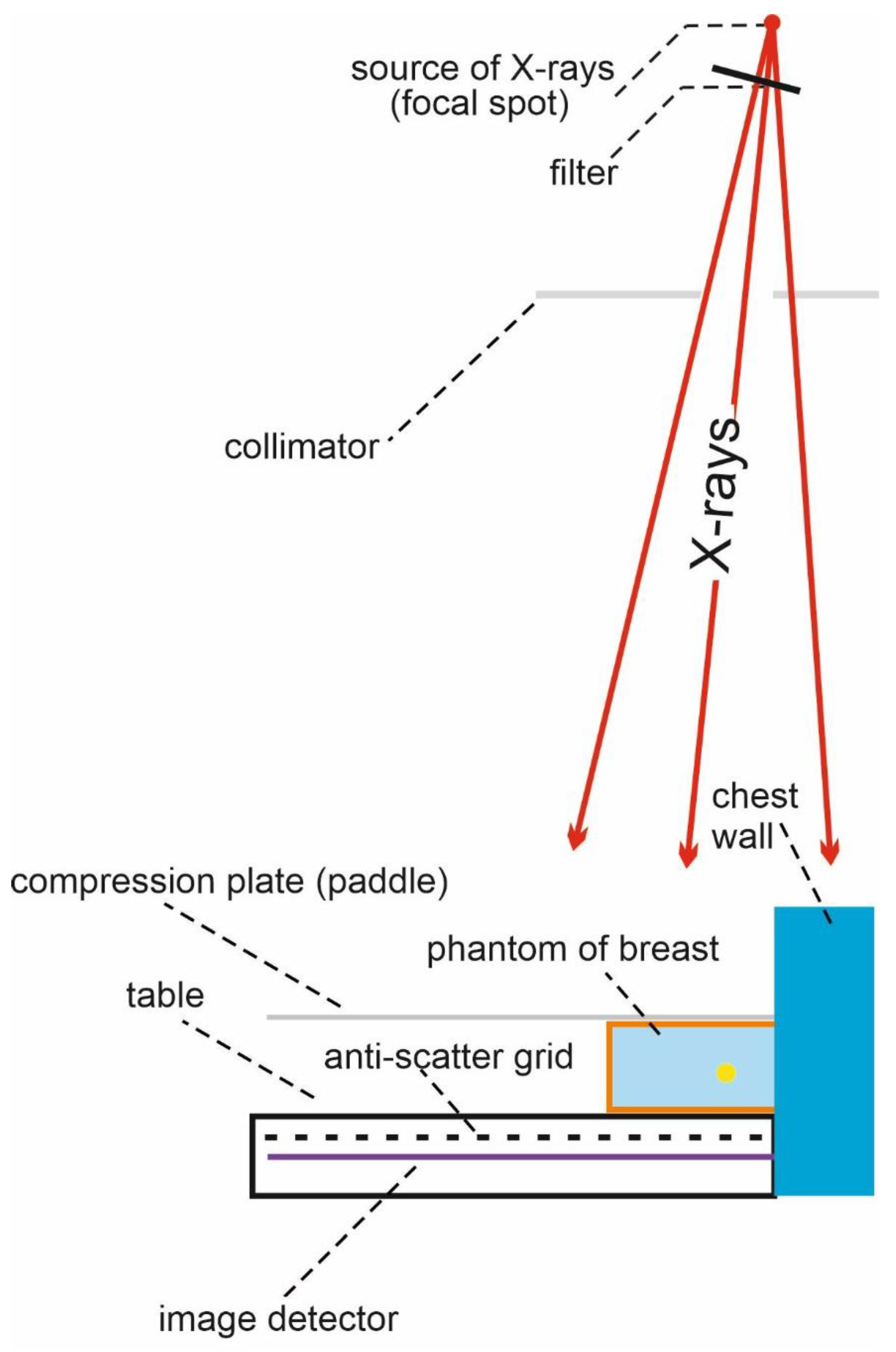 Applsci 13 00171 g001 Applsci 13 00171 g001