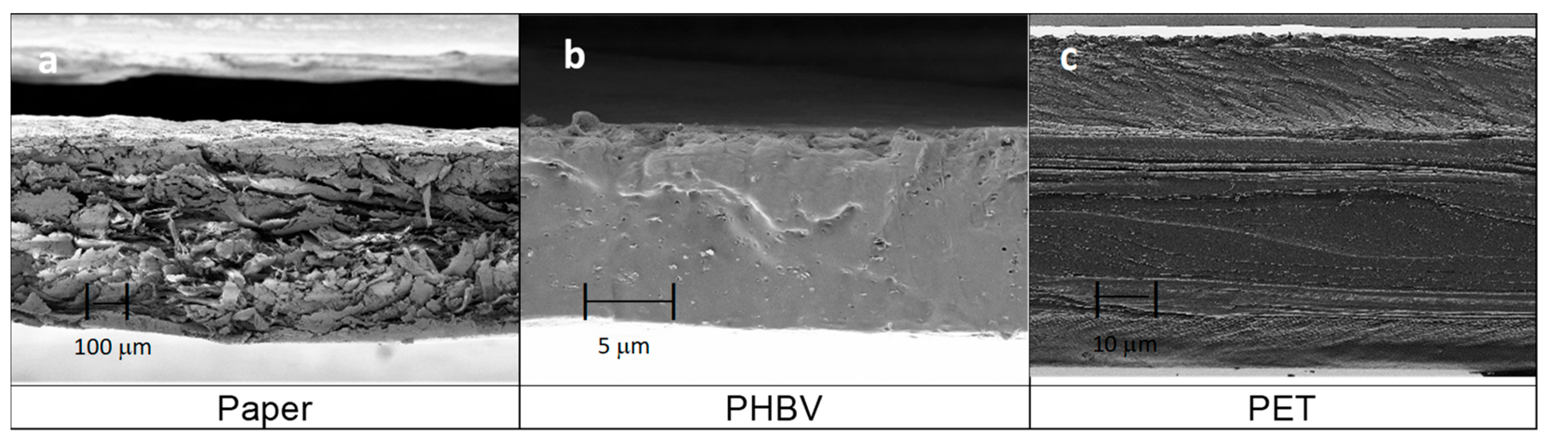 Applsci 13 00179 g002 Applsci 13 00179 g002