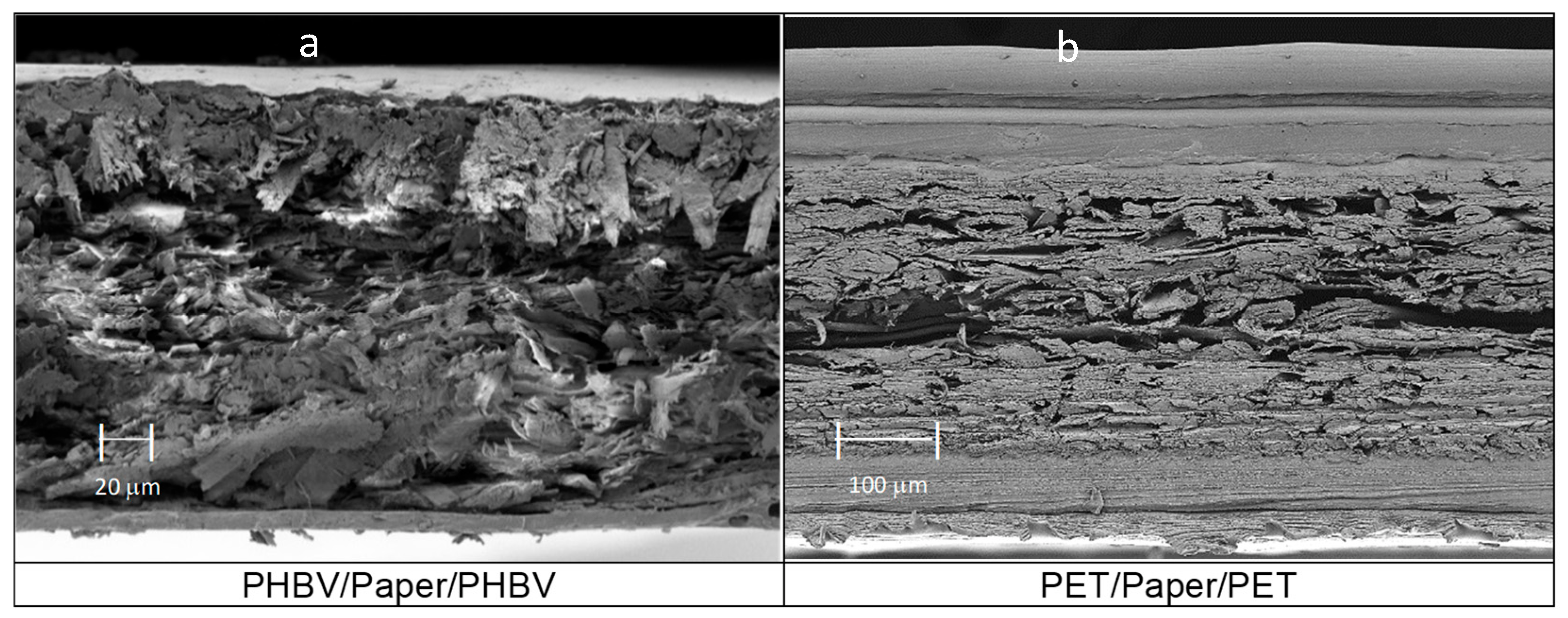 Applsci 13 00179 g003 Applsci 13 00179 g003