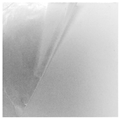 Applsci 13 00179 i001 Applsci 13 00179 i001