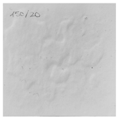 Applsci 13 00179 i012 Applsci 13 00179 i012