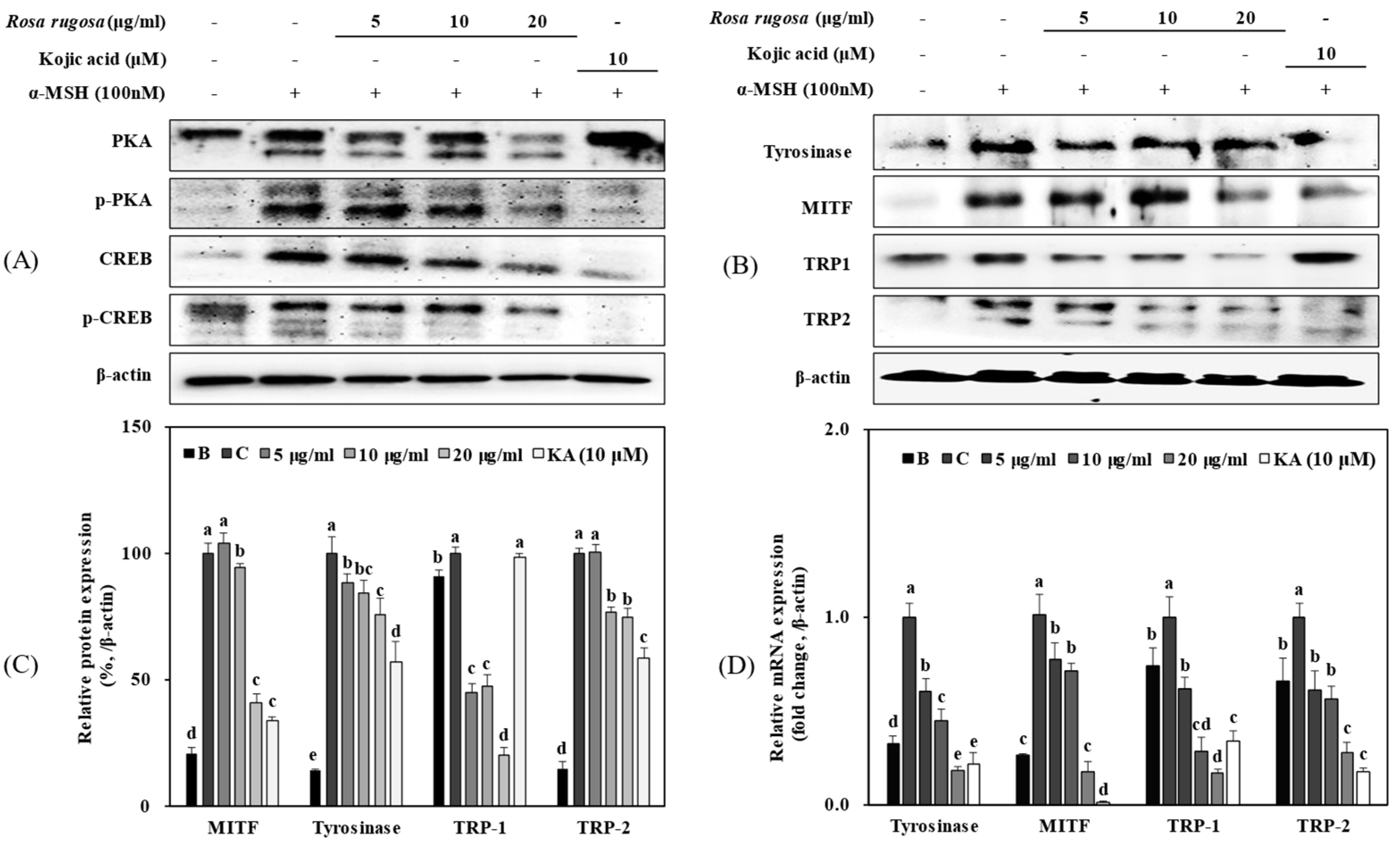 Applsci 13 00184 g002