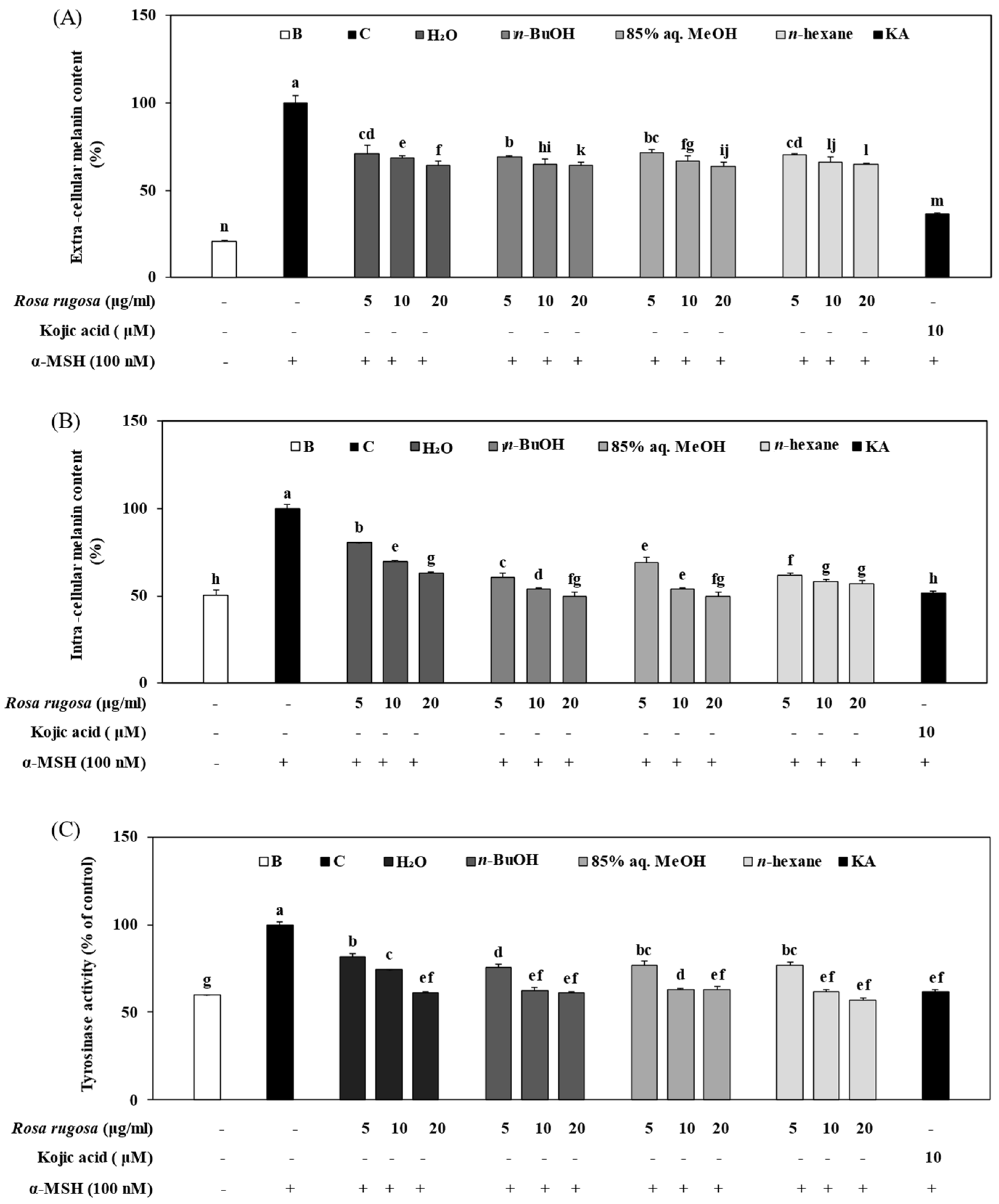 Applsci 13 00184 g004