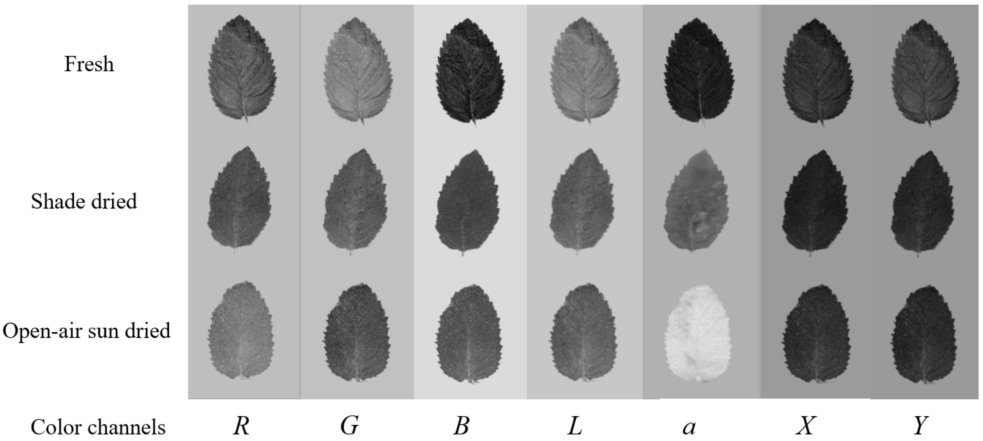 Applsci 13 00206 g003