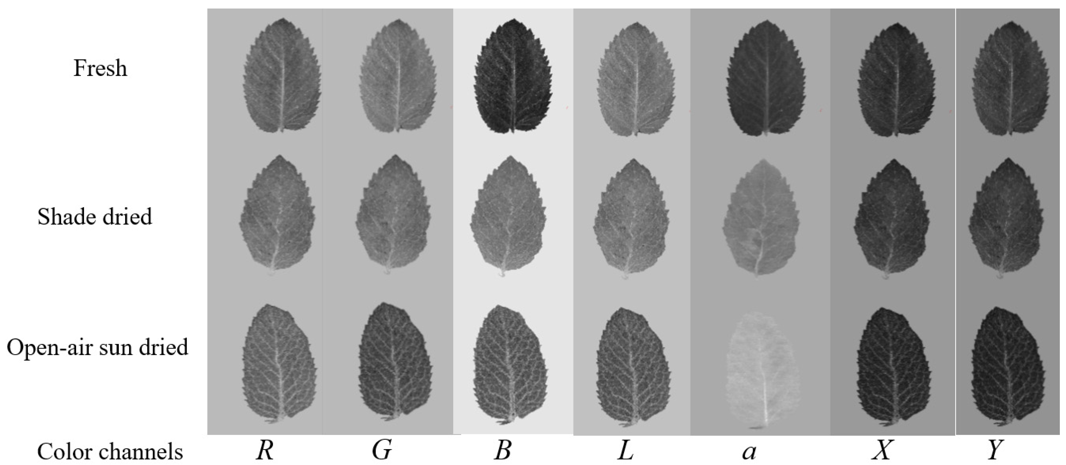 Applsci 13 00206 g004