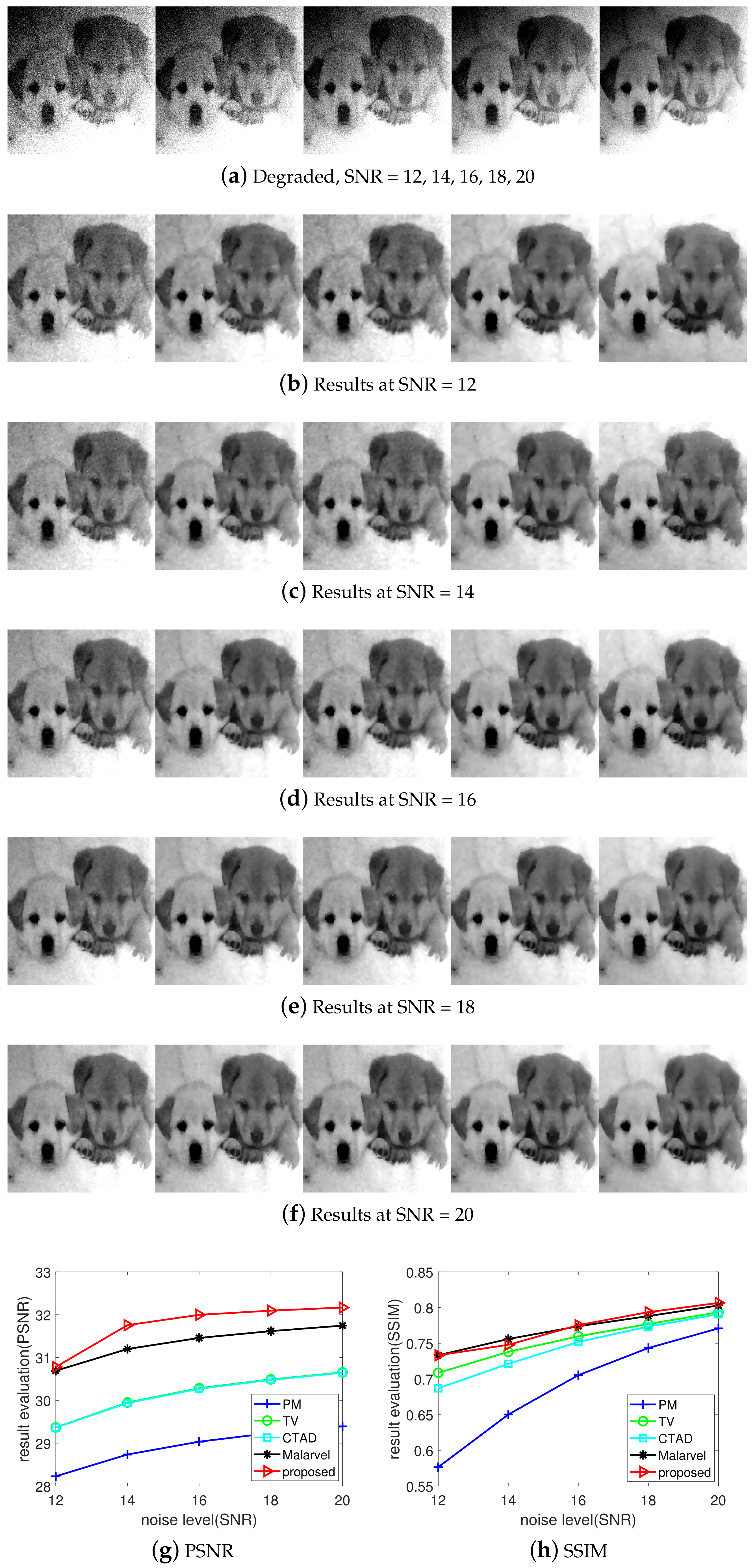 Applsci 13 00211 g008