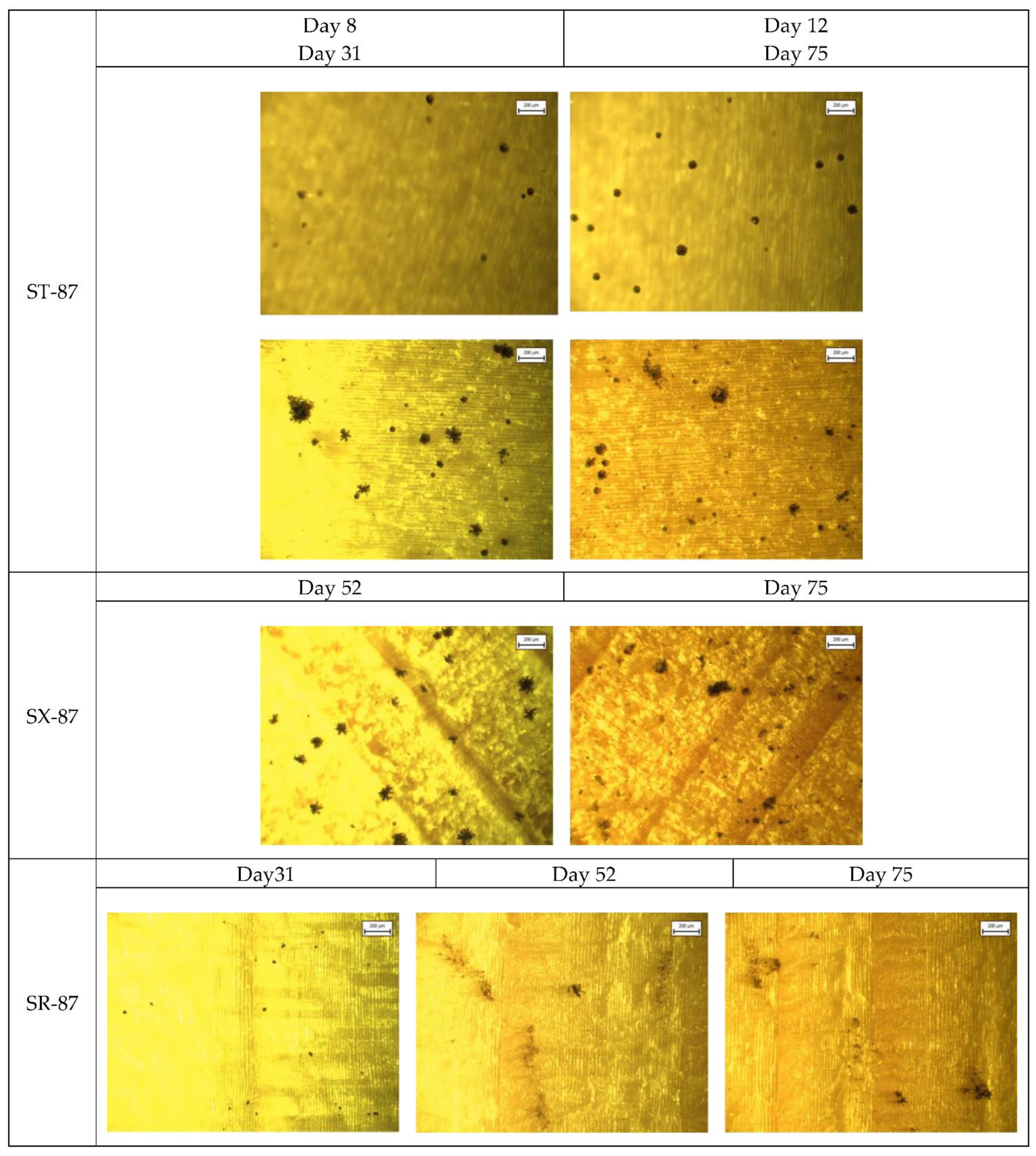 Applsci 13 00228 g0a3 Applsci 13 00228 g0a3