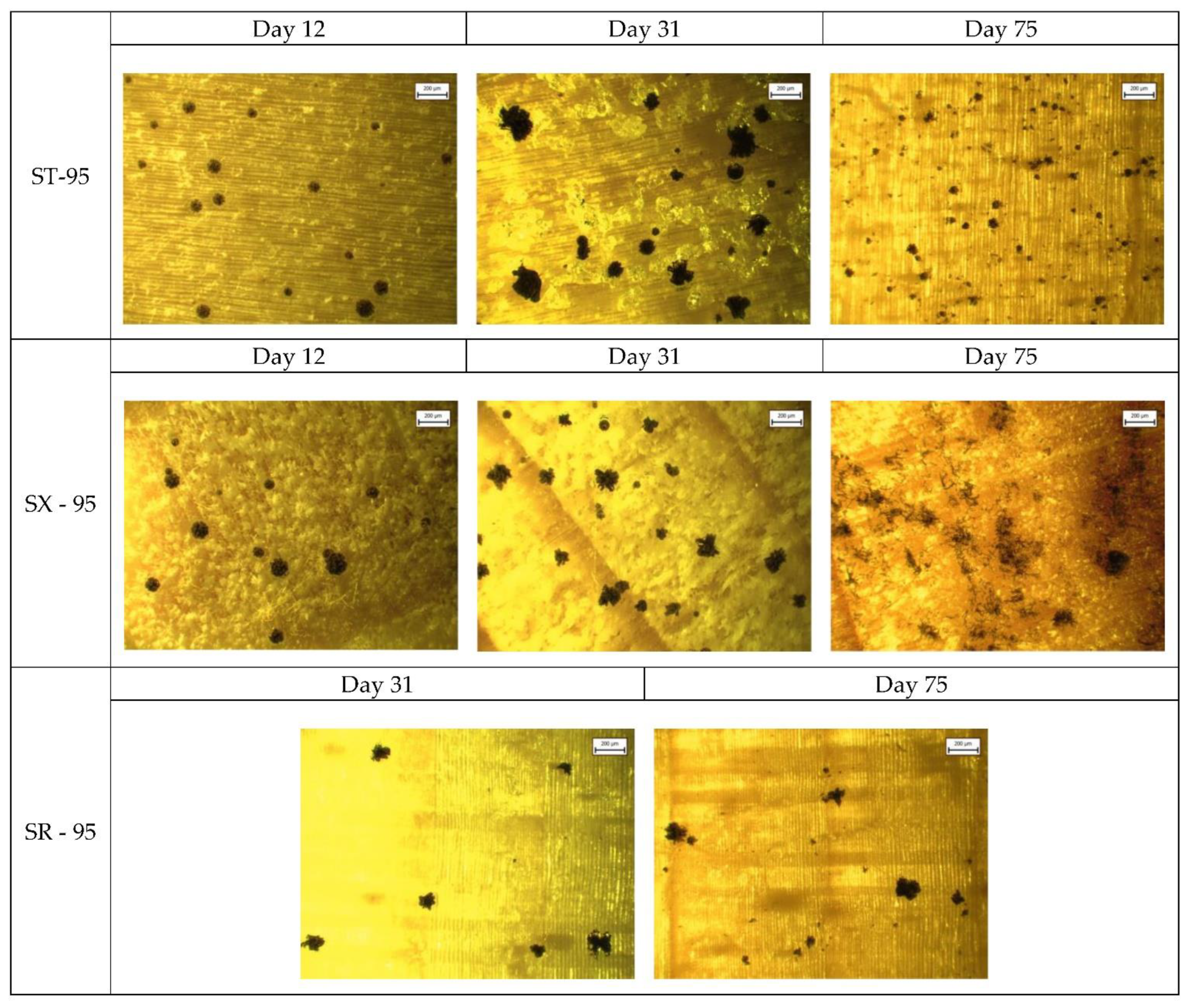 Applsci 13 00228 g0a4 Applsci 13 00228 g0a4