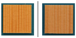 Applsci 13 00228 i002 Applsci 13 00228 i002