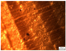 Applsci 13 00228 i004 Applsci 13 00228 i004