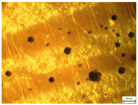 Applsci 13 00228 i006 Applsci 13 00228 i006