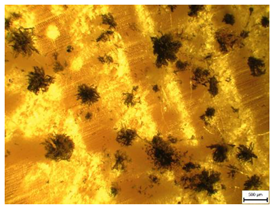 Applsci 13 00228 i007 Applsci 13 00228 i007