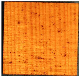 Applsci 13 00228 i010 Applsci 13 00228 i010