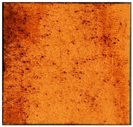 Applsci 13 00228 i011 Applsci 13 00228 i011