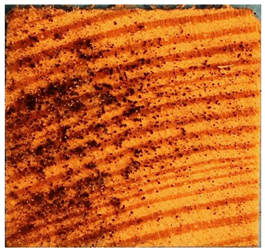 Applsci 13 00228 i012 Applsci 13 00228 i012